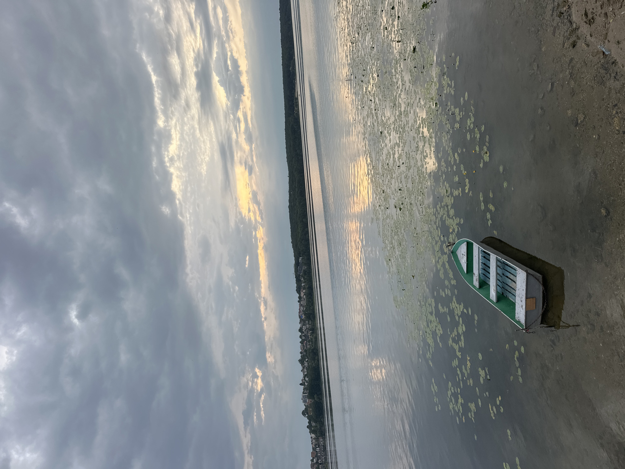 The image depicts a serene lake scene under a cloudy sky, likely on the Ternopil Pond in Ternopil, Ukraine. A small, green and silver rowboat is moored near the shore, surrounded by scattered lily pads. The water is calm, reflecting the muted colors of the sky and the distant treeline. On the far bank, a cluster of buildings forms a small town or village, nestled amongst trees. The overall atmosphere is peaceful and slightly overcast, suggesting either early morning or late evening light. There are no people visible in the image.