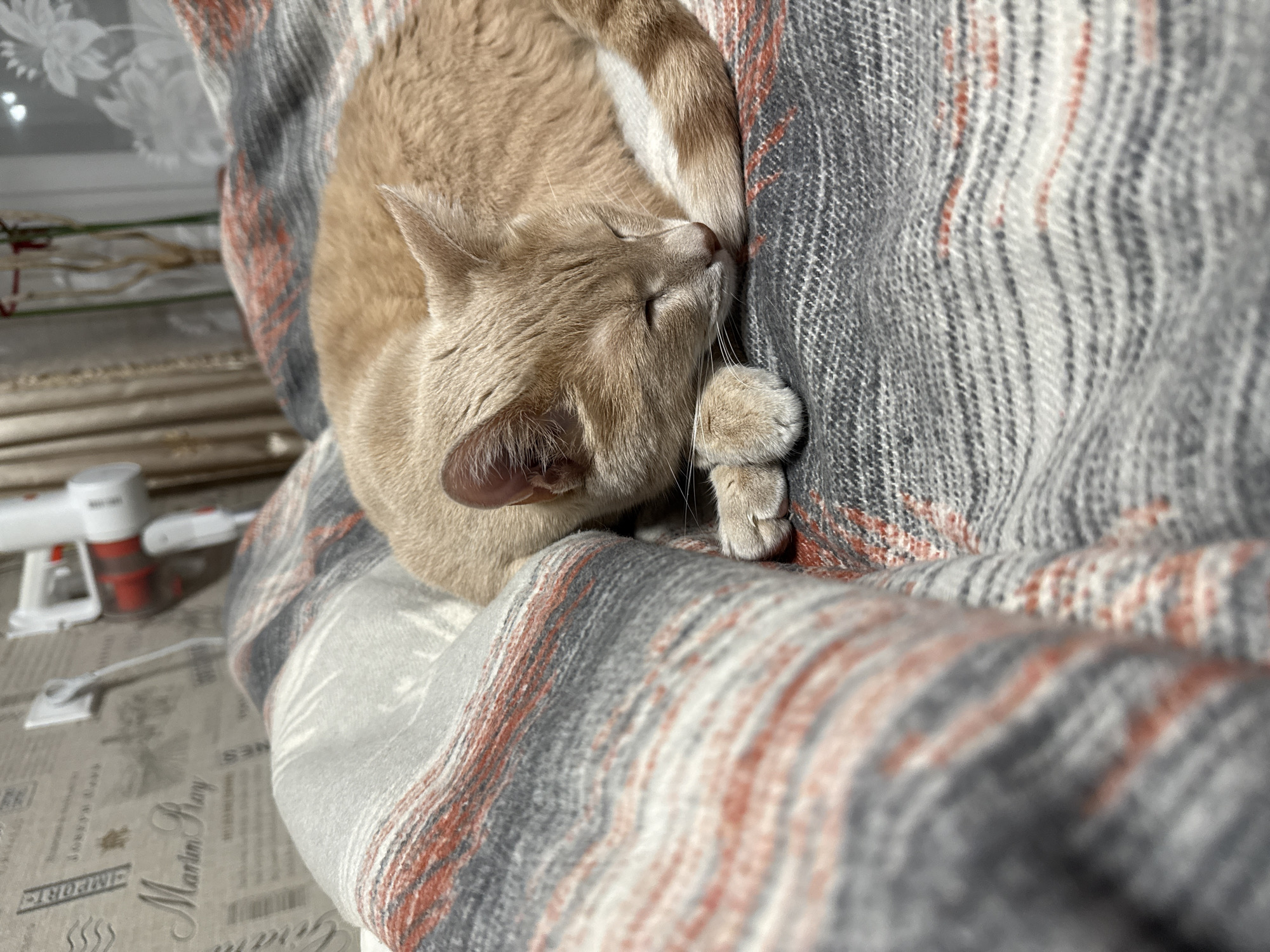 A tan cat is sleeping curled up on a gray, orange, and white patterned blanket. The cat has its eyes closed and its paws resting on the blanket. The background is blurry, but there is a table with a cleaning product and a piece of paper with text on it. The location is Chaikovsky, Russia.