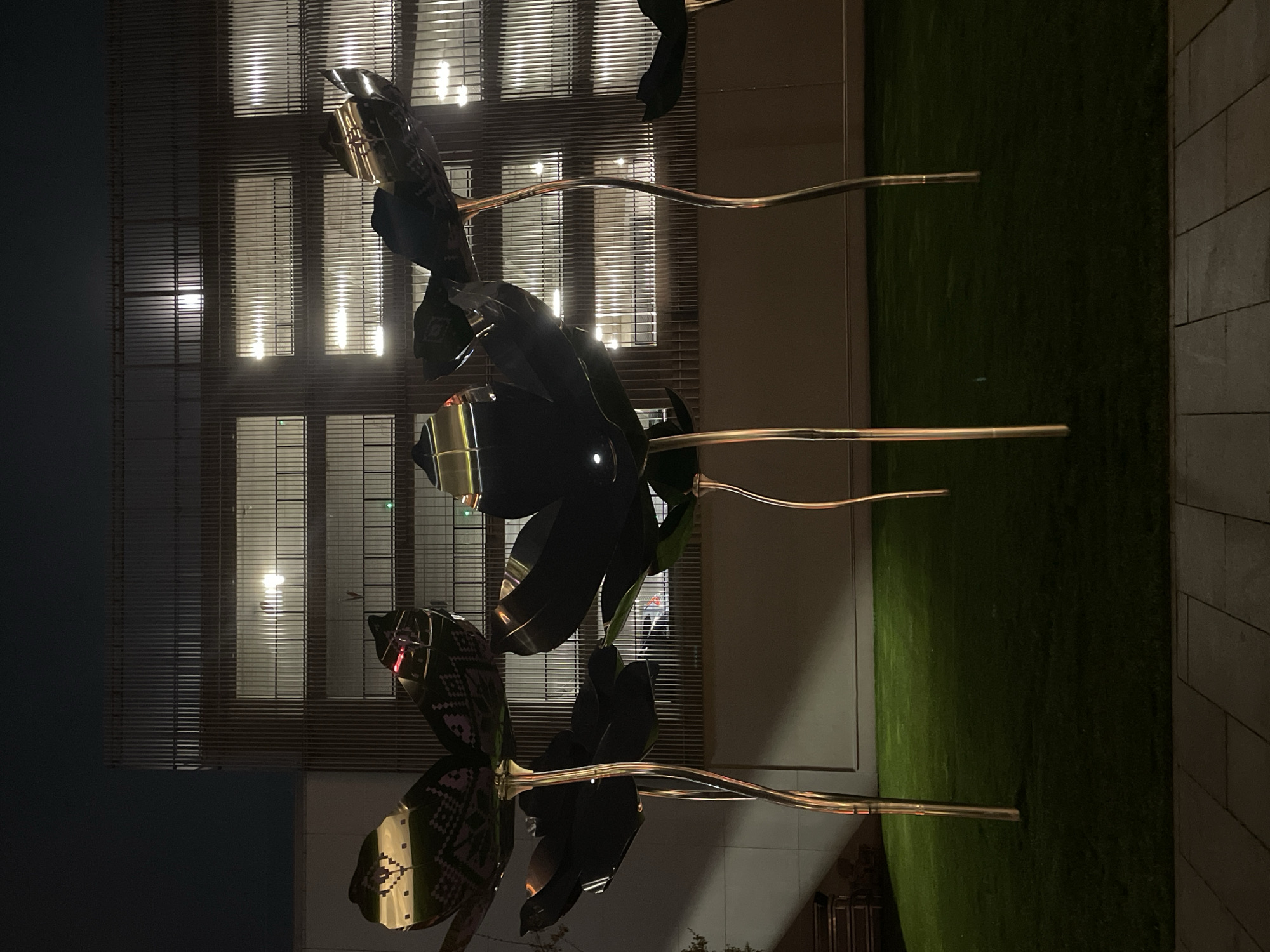 The image captures an outdoor scene at night in Belgrade, Serbia, showcasing a large metal floral sculpture. The sculpture is composed of reflective, geometric flower-like structures with long, polished metal stems. In the background, a modern building with horizontal blinds covering the windows is visible, illuminated from within. To the right of the sculpture, there is a patch of green grass, followed by a tiled pathway. The overall lighting is dim, accentuating the reflective surfaces of the sculpture and the building's interior illumination. No people are visible.