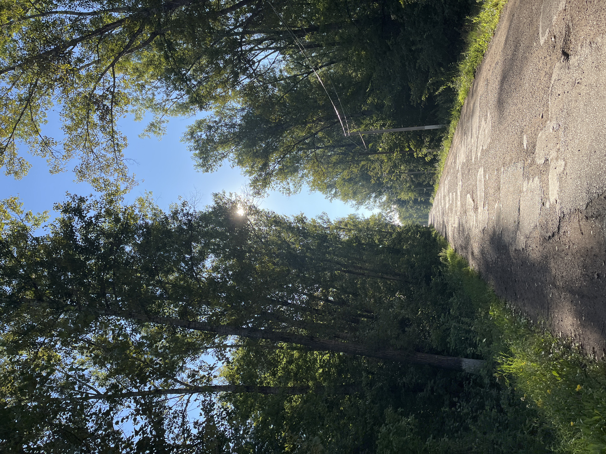 A dirt road lined with trees extends into the distance under a bright blue sky. The sun is shining, with rays of light filtering through the leaves of the trees. The road is in poor condition, with many potholes and cracks. Green grass and weeds grow along the sides of the road. In the distance, power lines are visible. The image appears to have been taken on a sunny day.