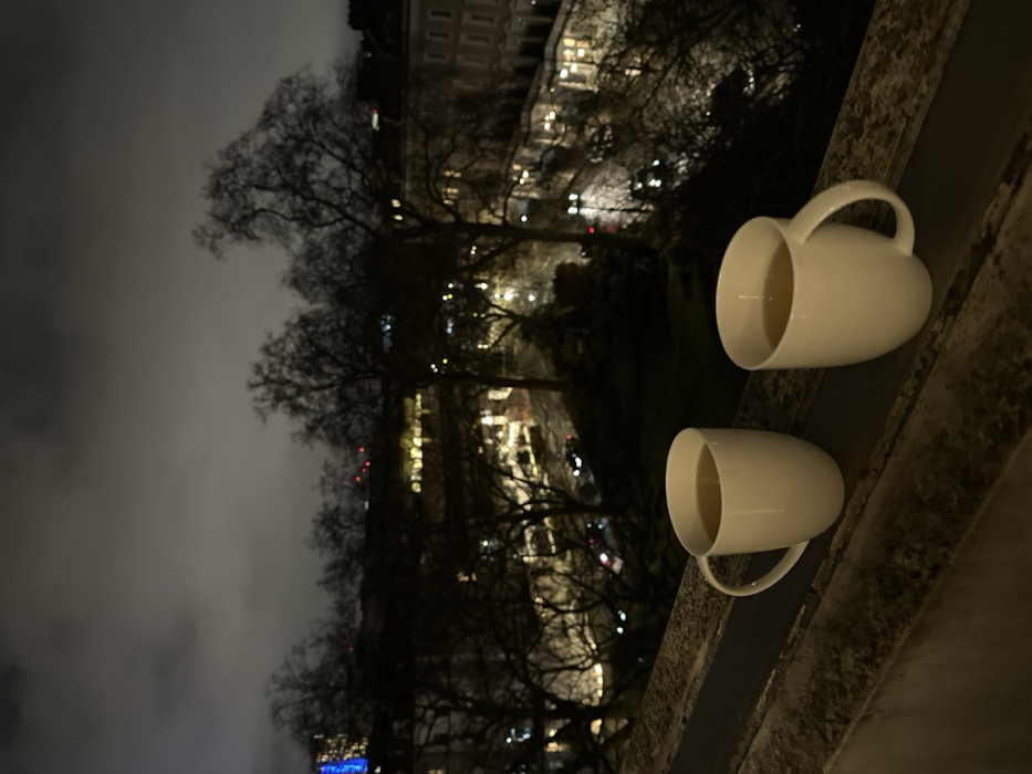Two white mugs, filled with liquid, rest on a ledge, facing a blurred cityscape at night. Bare trees are silhouetted against a cloudy sky, with building lights visible through the branches. The atmosphere is dark and moody. The mugs appear to be placed on a stone or concrete surface, offering a contrast to the urban scene beyond.