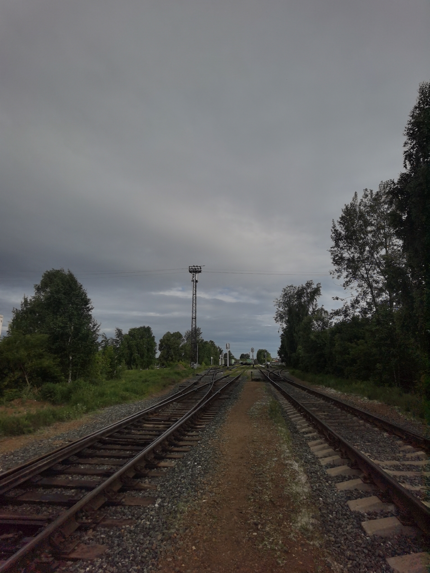 This is a wide-angle, medium-distance, eye-level, outdoor, full-shot photograph taken on a cloudy day. The scene depicts a railway junction with multiple sets of tracks diverging and converging. The tracks are laid on a bed of gravel and ballast, with wooden sleepers visible. In the foreground, two sets of tracks run parallel before splitting off into different directions. A dirt path runs between these sets of tracks. Further down the tracks, a junction with switches is visible. A tall, metal signal tower with cross-bracing and multiple lights or signals stands to the right of the tracks, silhouetted against the sky. In the middle ground, a line of trees and vegetation borders the railway on both sides. The trees are lush green, suggesting a temperate climate. The sky is overcast with heavy grey clouds, indicating the possibility of rain. The overall impression is one of a functional, somewhat industrial, yet natural environment. The specific location is identified as a railway junction in the city of Chaikovsky, Russia, as indicated by the user's prompt, though no visual cues in the image definitively confirm this specific location. There are no people or vehicles visible in the image.