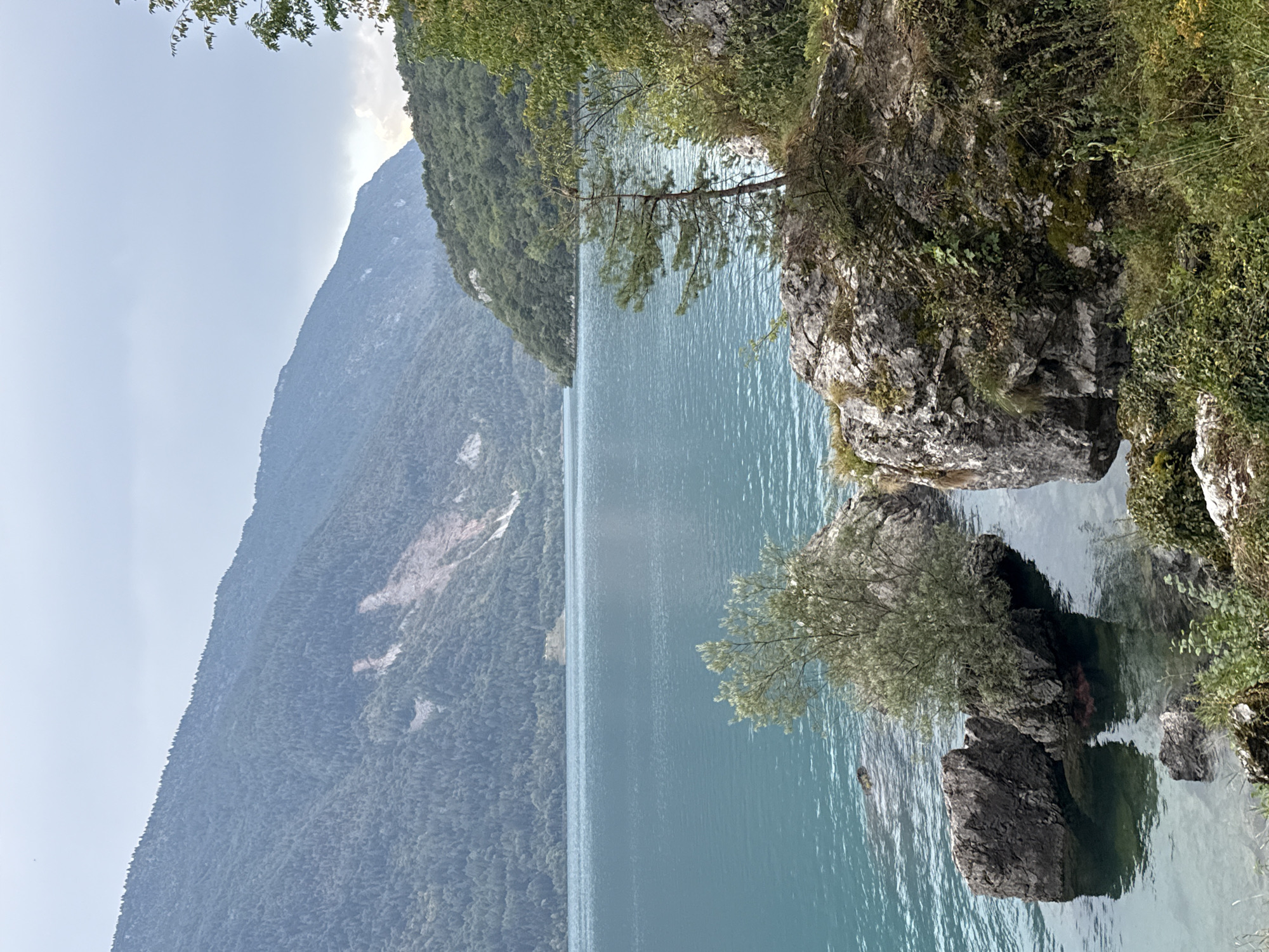 The image shows a body of water with a mountainous backdrop, likely taken at Lake Molveno in Molveno, Italy. The lake is a deep turquoise color and calm, with gentle ripples on the surface. In the foreground, large grey rocks covered in moss and vegetation jut out of the water. A small tree with green foliage grows from one of these rocky outcrops. The background features steep, tree-covered mountains that rise towards a hazy, overcast sky. The overall scene conveys a sense of natural beauty and tranquility. There are no people visible in the image.