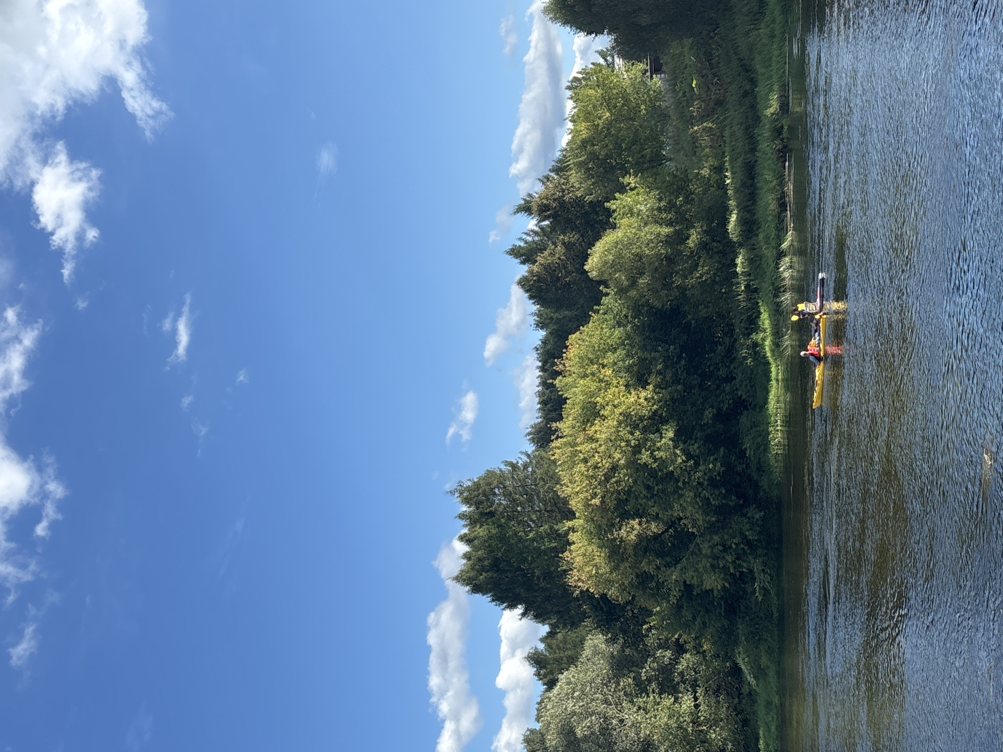 In Zvenigorod, Russia, a wide, calm river flows through a lush, tree-lined landscape under a bright blue sky dotted with white clouds. On the water, two people are engaged in recreational activities. One person is in a yellow kayak, wearing a red life jacket, and appears to be paddling. Another person is on a stand-up paddleboard behind the kayak, also appearing to be paddling. The riverbank is densely covered with various trees, some with vibrant green foliage and others showing hints of yellow, suggesting the season may be late summer or early autumn. The trees create a thick, verdant backdrop that extends across the image. The water's surface reflects the sky and the surrounding greenery, with subtle ripples indicating a gentle current.