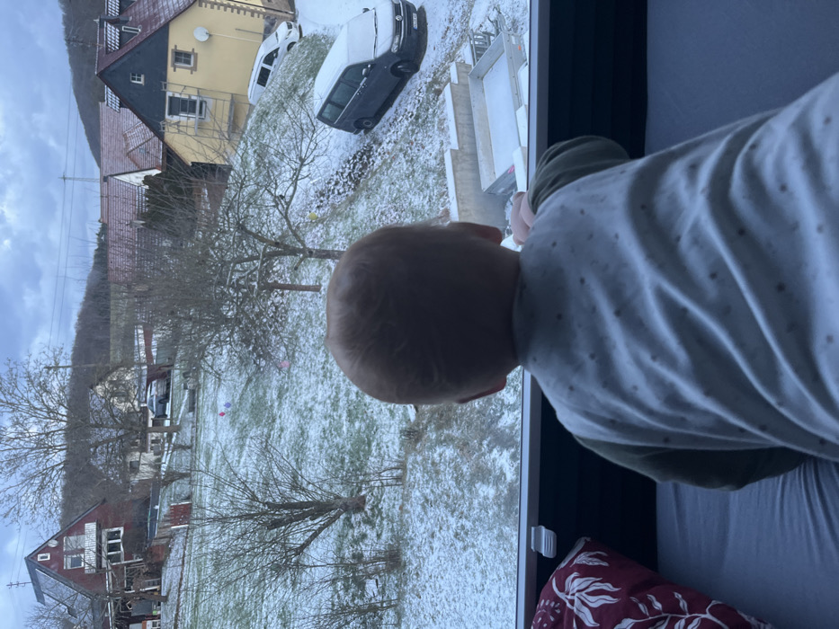 A child looks out a window at a snow-covered landscape. Bare trees and patches of grass dot the yard. Several houses and parked vehicles are visible in the background, also lightly dusted with snow. The sky is overcast and gray. The child wears a patterned shirt and a green top. A pillow is visible near the bottom of the image.
