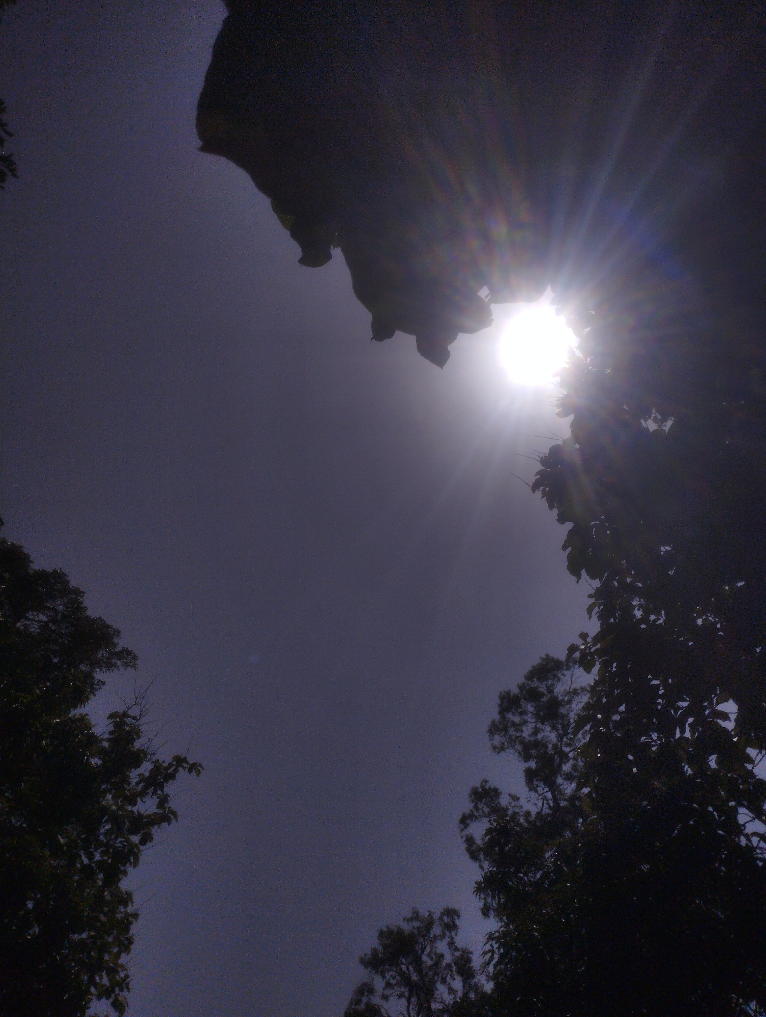 The image shows a view of the sky through the branches of trees. The sun is visible, shining brightly and creating sunbursts. The sky is a deep, dusky blue, possibly indicating it is late afternoon or early evening. Silhouetted against the sky are the dark shapes of tree branches and leaves. The overall impression is one of natural beauty, with the sun's light filtering through the foliage. The location is not specified in the image itself, and therefore cannot be determined.