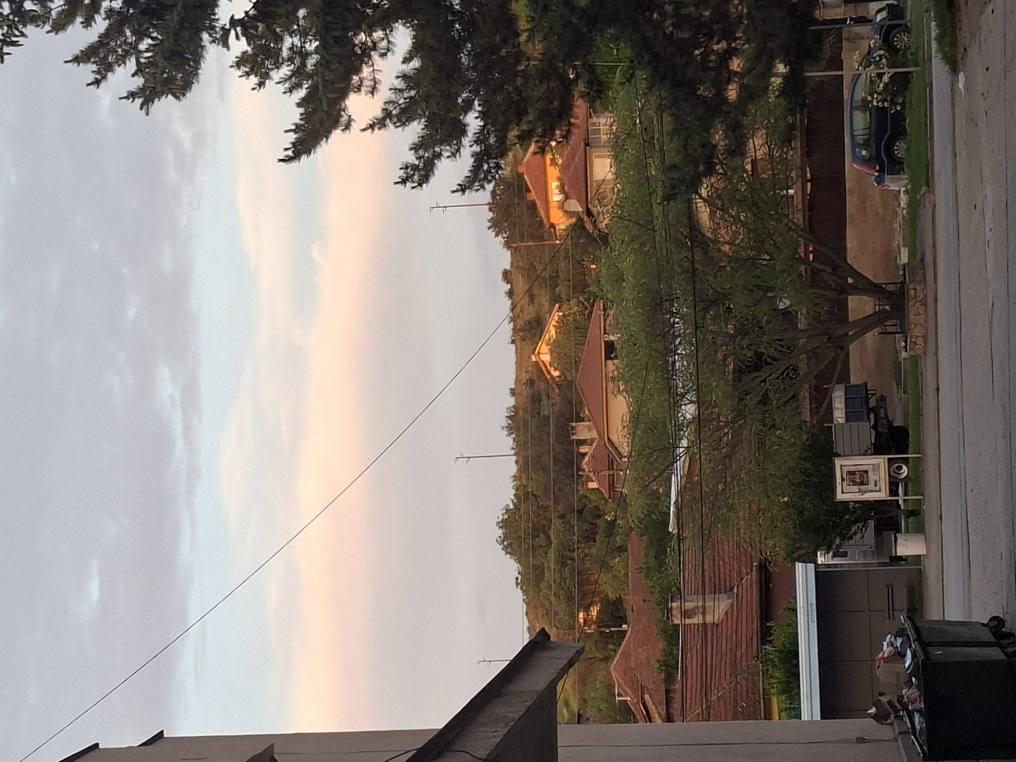 This detailed image captures a residential street scene in Basarbovo, Bulgaria, at what appears to be twilight, with the sky displaying a gradient of light blue transitioning to soft pink and orange hues, interspersed with faint, scattered clouds. In the background, densely forested hills rise, marked by several utility poles and various traditional houses featuring warm-toned exteriors and prominent red-tiled roofs; some houses on the hills have illuminated windows. The midground is filled with a dense canopy of diverse green trees and shrubs, partially obscuring additional red-roofed houses. In the foreground on the left, a portion of a light-colored building is visible, from which a thin, dark utility cable extends diagonally across the upper frame. Below, two dark green trash bins, filled with refuse, are positioned on the street, adjacent to a small, dark, shed-like structure, possibly a bus stop. Behind this structure, a flatbed truck with a blue cargo area is parked. A white bucket and a freestanding signboard displaying a poster are also present on the sidewalk. The right side of the foreground is dominated by a large, dark evergreen tree, while a smaller deciduous tree, planted within a low stone-bordered area, stands near the center. A dark hatchback car is parked on the street on the far right, partially obscured by green shrubs. The street is paved, and a low wall delineates the properties along its edge. No people are visible within the scene.
