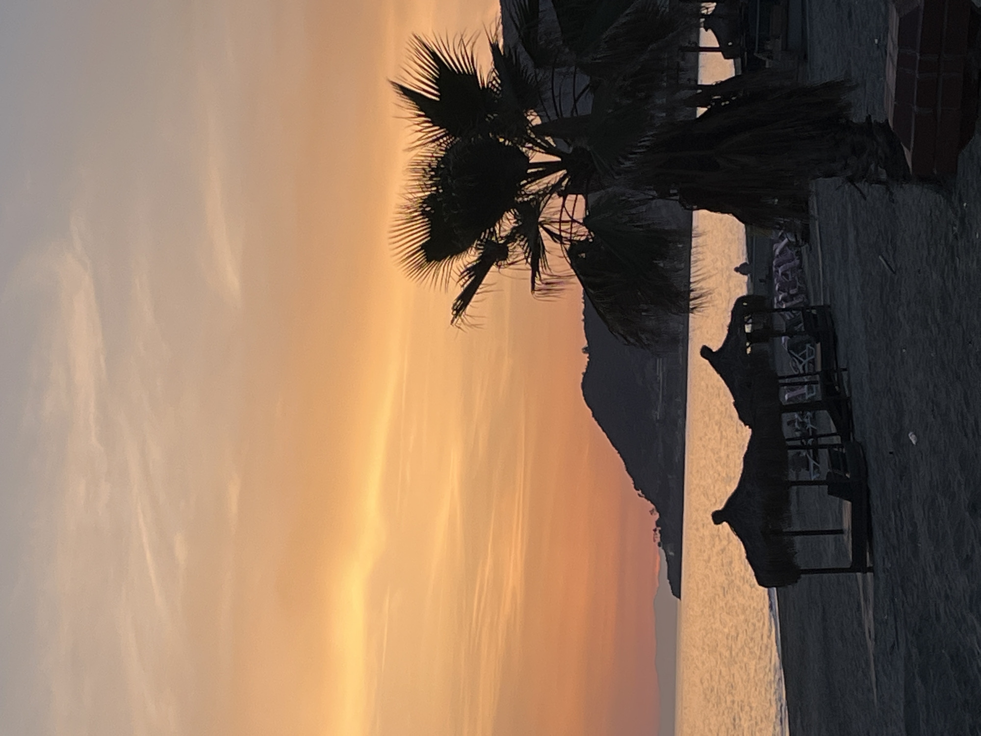 The image shows a beach in Alanya, Turkey, at sunset. The sky is a blend of orange and light blue, indicating the sun is setting. A palm tree stands silhouetted against the sky on the right. On the beach, there are beach umbrellas and chairs also silhouetted. There is a mountain in the background. The sea is calm, reflecting the sunset colors.