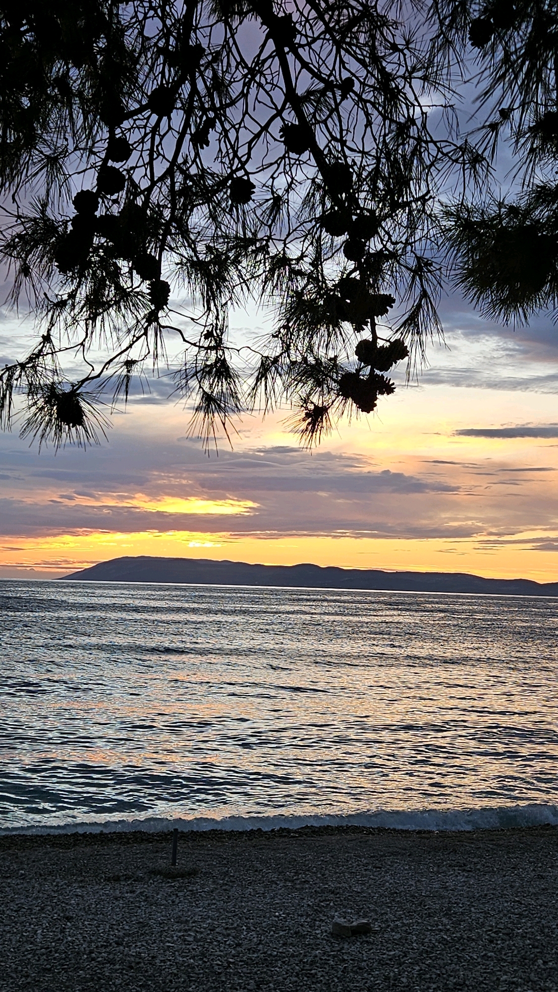 The image depicts a sunset over the Adriatic Sea, as seen from a pebble beach in Općina Tučepi, Croatia. Pine branches with cones are silhouetted in the foreground, framing a sky painted with hues of orange, yellow, and purple. The sea is calm, with gentle waves lapping the shore. In the distance, a mountainous island is visible on the horizon. The beach itself is covered in smooth, grey pebbles. No people or animals are present in the scene. The overall atmosphere is serene and tranquil.