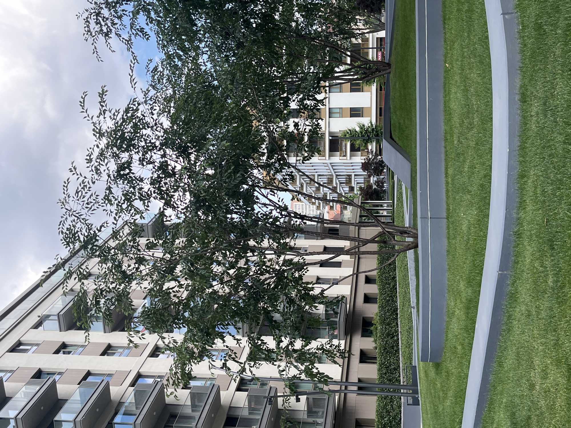 The image displays a modern urban green space and architectural complex under a partly cloudy sky. In the foreground and midground, several trees with rich green leaves and visible branches partially obscure the buildings behind them. A neatly manicured lawn occupies the lower portion of the frame, bordered by distinct, thick gray concrete or stone elements that form raised garden beds or planters. Some of these gray borders feature thin white lines.
On the left side of the image, a multi-story contemporary building with a light-colored facade is prominent, featuring numerous windows and balconies with glass railings. The building exhibits a clean, geometric design with a mix of projecting and recessed sections. To the right, another modern building with similar architectural characteristics is visible, featuring rectangular windows. A dense, well-trimmed green hedge runs horizontally along the base of this building. Near the top right of this building, a small red sign with white lettering, which appears to spell "MAXI," is discernable.
The scene depicts a tranquil outdoor setting, possibly a courtyard or shared amenity space within a modern residential or commercial development. No people are visible, and no specific activities are taking place. The sky in the upper left corner is overcast with some brighter areas. The overall impression is one of modern urban planning that integrates natural elements. The location context is Belgrade, Serbia.
