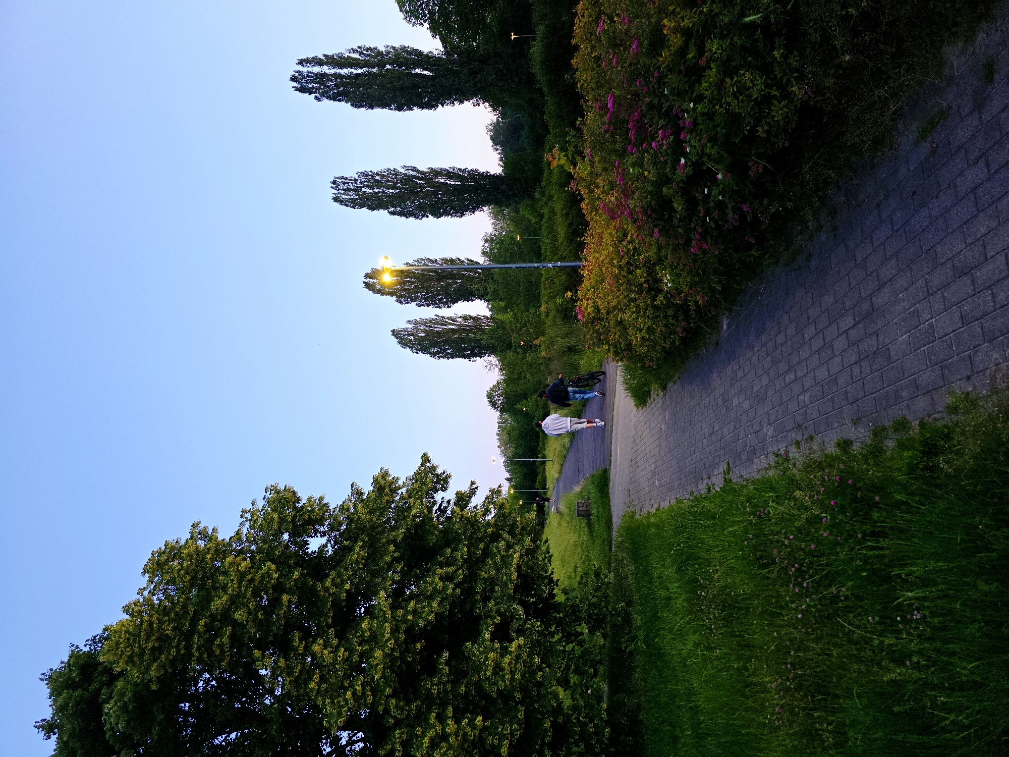 Two individuals, one wearing a white hooded sweatshirt and the other a dark hooded sweatshirt, walk along a paved pathway in a park at dusk. One person is pushing a bicycle. The pathway is bordered by lush green grass on the left and flowering bushes and trees on the right. Tall, slender trees stand in the background, illuminated by streetlights. The sky is a clear, soft blue, indicative of twilight. This scene is consistent with a public park within Warsaw, Poland, likely a recreational area for residents.