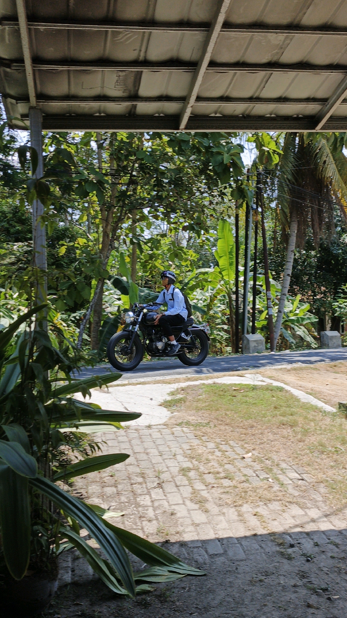 A person wearing a blue long-sleeved shirt, dark pants, a helmet, and a mask rides a black motorcycle on a paved road. The rider is positioned on the right side of the frame, moving from left to right. The environment is lush with green trees and foliage, including palm trees and large-leafed plants, suggesting a tropical or subtropical setting. There is a partial view of a structure with a corrugated metal roof and exposed beams in the foreground, possibly a shelter or overhang. The ground features a paved walkway made of rectangular bricks in the lower portion of the image, with patches of dry grass and dirt. The overall impression is an outdoor scene in a natural or semi-rural environment. The location is described as Cintaratu, Indonesia.