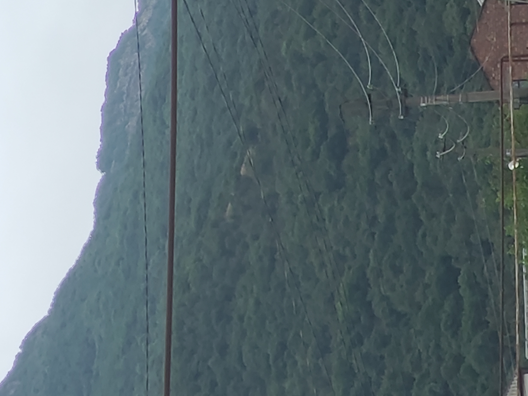 The image shows a mountain range covered in lush green vegetation under an overcast sky. Several power lines and a utility pole are visible in the foreground, with a portion of a brick building peeking out from the lower right corner. The scene is likely an outdoor environment, possibly in a rural or semi-rural area on the outskirts of Makhachkala, Russia, given the presence of utility infrastructure and the mountainous terrain characteristic of the Dagestan region. The overall impression is one of a natural landscape juxtaposed with human infrastructure.