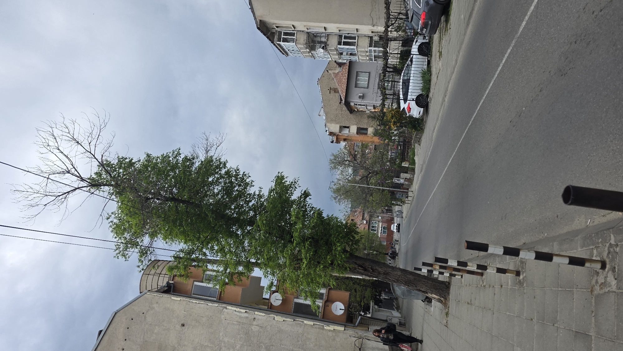 The image captures a street scene in an urban or suburban area, likely Blagoevgrad, Bulgaria, under an overcast sky during daylight hours. The perspective is from the sidewalk, looking along a street that recedes into the distance.
On the left side of the frame, a large tree stands prominently, its lower and middle branches covered in green leaves, while its upper branches are bare. Behind this tree, a multi-story residential building with a concrete facade is visible, featuring multiple white satellite dishes. A person, dressed in dark clothing, stands near the base of the tree on the sidewalk.
The asphalt road, marked with a dashed white centerline, extends from the foreground into the background, curving slightly. Along the right side of the street, several cars are parked, including a white sedan and a dark-colored vehicle. A line of black and white striped bollards separates the right sidewalk from the street. Another residential building, with balconies and visible windows, lines the right side of the road. Further down the street, additional buildings and trees can be seen. Utility lines crisscross the sky, passing behind the large tree. The scene suggests a typical residential street on a cloudy day. No discernible text is visible.