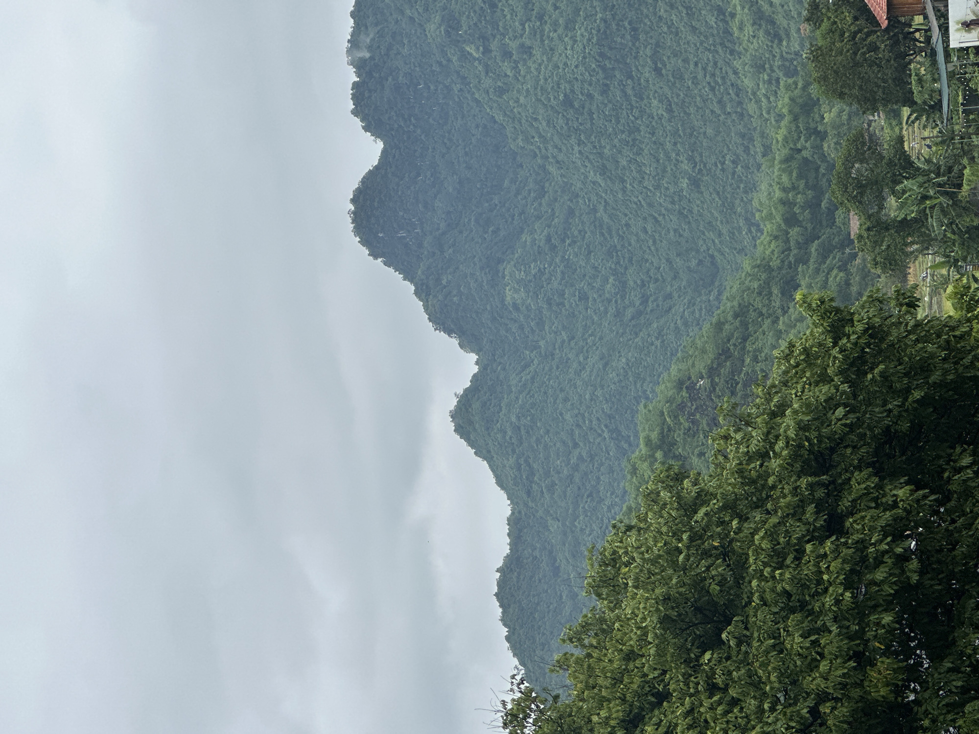 The image depicts a lush, green mountain landscape under an overcast sky in Xóm Khán, Vietnam. In the foreground, dense, leafy trees dominate the left side of the frame, with their vibrant green foliage partially obscuring the view of the mountains behind.
The mountains themselves are covered in thick vegetation, with undulating peaks and valleys. The overall impression is one of natural abundance and a somewhat subdued atmosphere, likely due to the cloudy weather. In the distance, hints of human settlement are visible, with small structures and what appear to be rice paddies or cultivated fields in the lower right portion of the image. The presence of these elements suggests a rural or semi-rural setting. The sky is a uniform grey, indicating a day without direct sunlight.