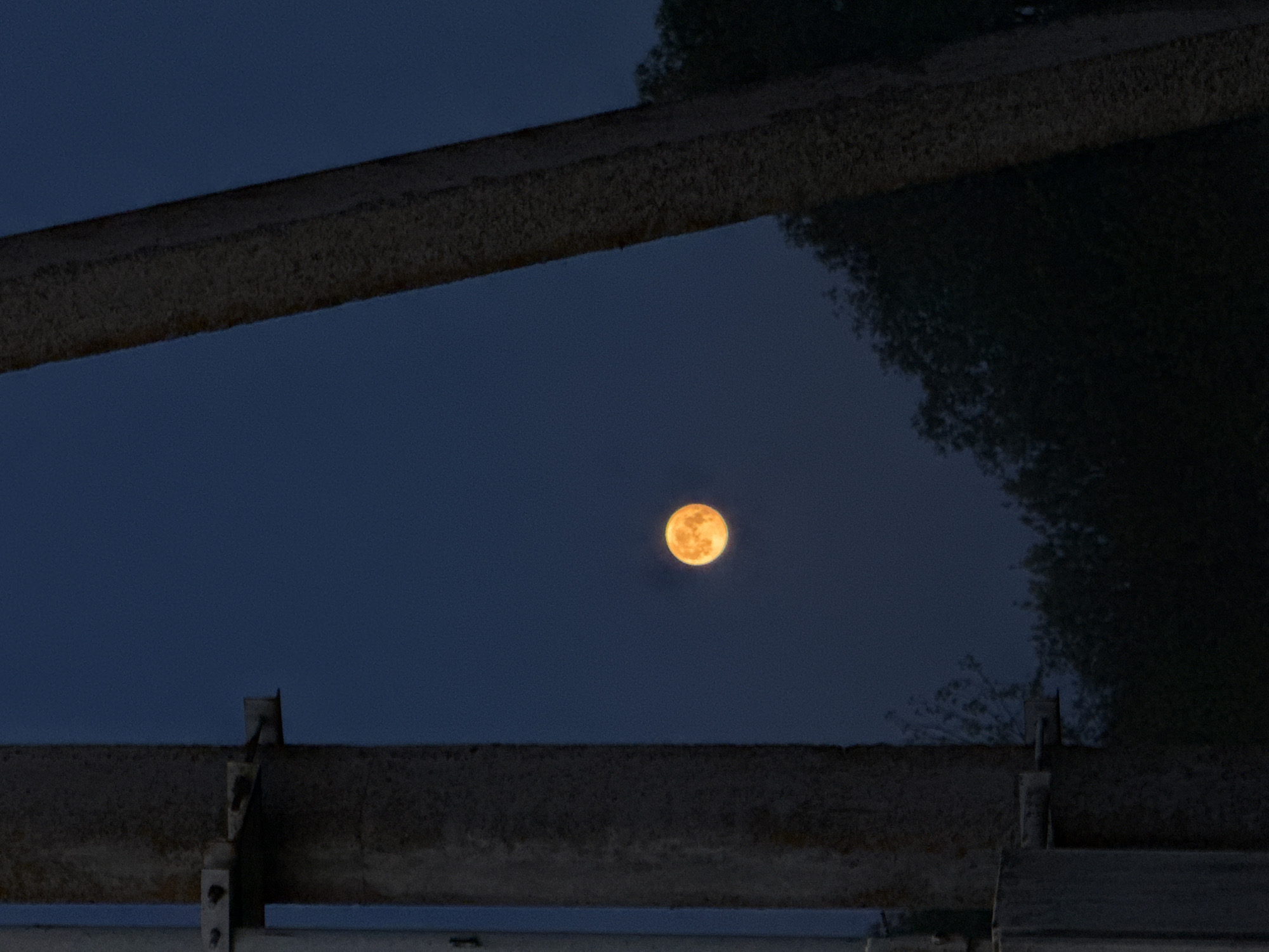 A photograph captures a full, luminous orange-yellow moon centered in a dark blue night sky. The view is framed by two prominent, dark, horizontal structures, likely concrete or metal beams, resembling parts of a bridge or an overpass. The upper beam spans diagonally across the top left, extending downwards towards the right. The lower beam runs horizontally across the bottom third of the image. Both beams exhibit a rough, textured surface.
On the right side of the image, dark, indistinct silhouettes of foliage, likely trees or bushes, are visible against the night sky, extending from the right edge and partially obscuring the upper beam. More sparse foliage is also visible in the upper left corner. Near the center of the lower beam, there are metal brackets or supports attached, adding an industrial element to the scene. The sky is clear, allowing for an unobstructed view of the moon. The overall impression is one of a serene night, with the bright moon serving as the focal point within the dark, structural frame. There is no discernible activity or visible text in the image. The time of day is clearly night.