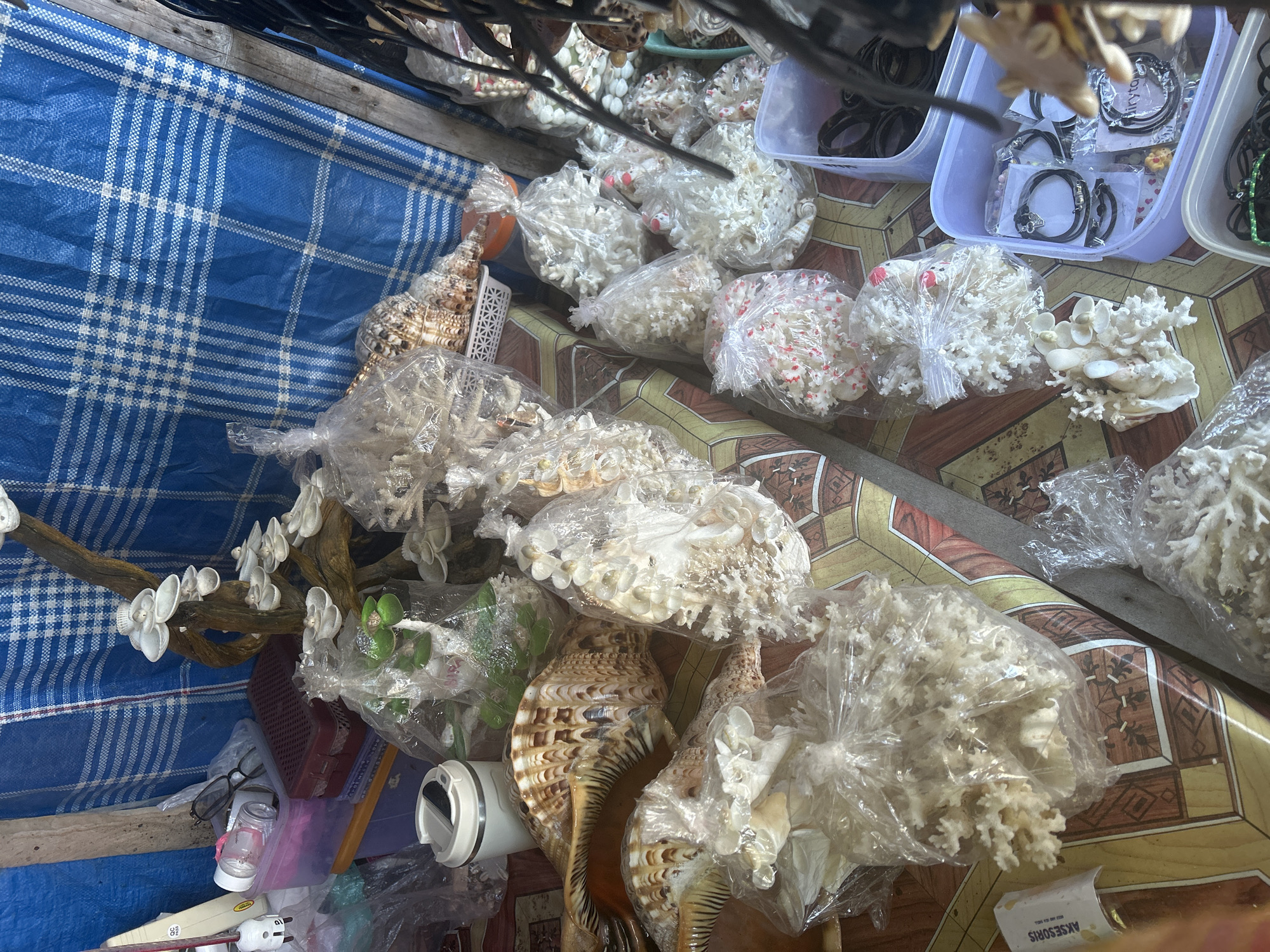 The image shows a street stall in Bira, Indonesia, displaying various marine-themed items. The stall is covered with a blue and white checkered tarp. On display are large seashells, decorative coral pieces, and other shell crafts, many of which are packaged in clear plastic bags. Some of the coral pieces are white and intricate, while others appear to be mixed with red and pink elements. In the foreground, there are several plastic containers holding jewelry, including bracelets and necklaces. A white thermos and a pair of eyeglasses are also visible on a table. The lighting suggests it is daytime, with shadows indicating sunlight. The overall scene depicts a vendor selling souvenirs or decorative items.