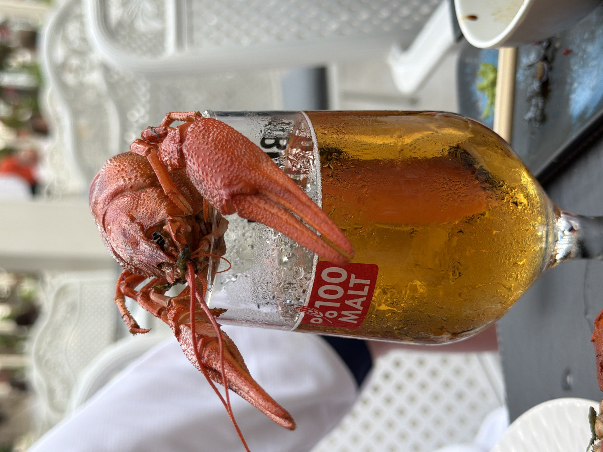 A close-up, eye-level shot shows a cooked crawfish balanced on the rim of a beer glass. The crawfish is bright red and appears to be whole, with visible claws and antennae. The beer glass is filled with golden beer and is covered in condensation. A red sticker with white text that reads "%100 MALT" is affixed to the glass. In the background, out of focus, are white chairs and a blurred white garment. The setting appears to be outdoors, possibly a restaurant or patio.