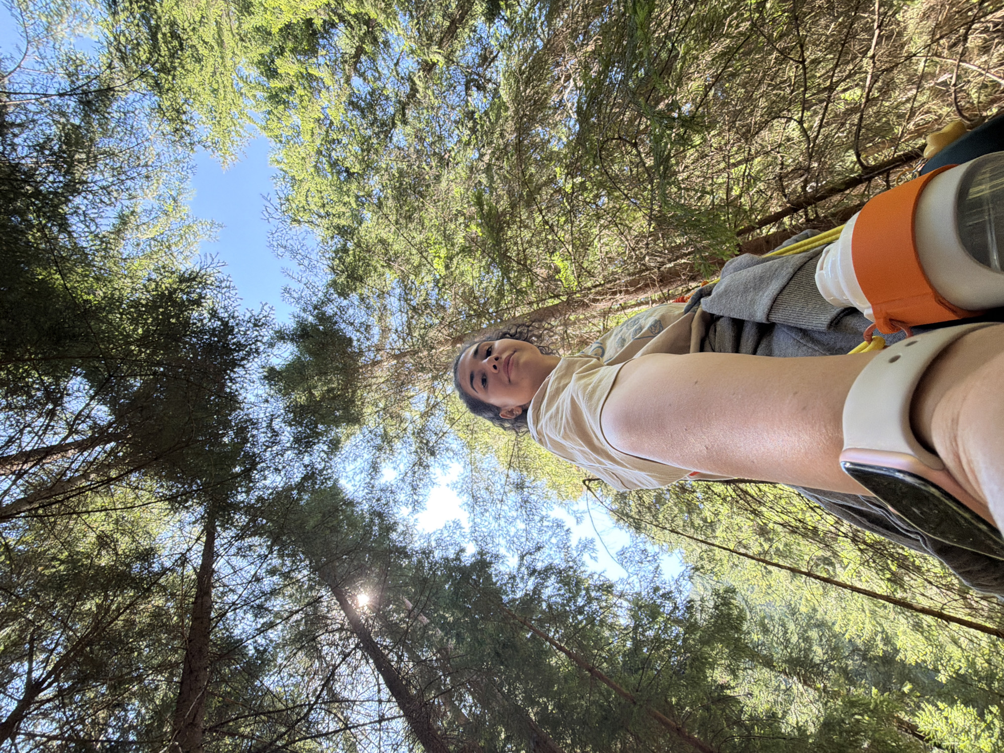 A low-angle, wide shot captures a young woman looking up towards the camera, seemingly from within a dense coniferous forest. Sunlight filters through the trees, creating a dappled effect on the foliage and sky. The woman is partially visible, with her arm and shoulder in the foreground, wearing a light-colored shirt and a smartwatch. She appears to be in motion, possibly hiking or exploring, as evidenced by the water bottle with an orange holder hanging from her side. The background is dominated by tall pine trees and a clear blue sky. The overall atmosphere is one of natural beauty and outdoor adventure. This scene is located in the city of Sarnitsa, Bulgaria.