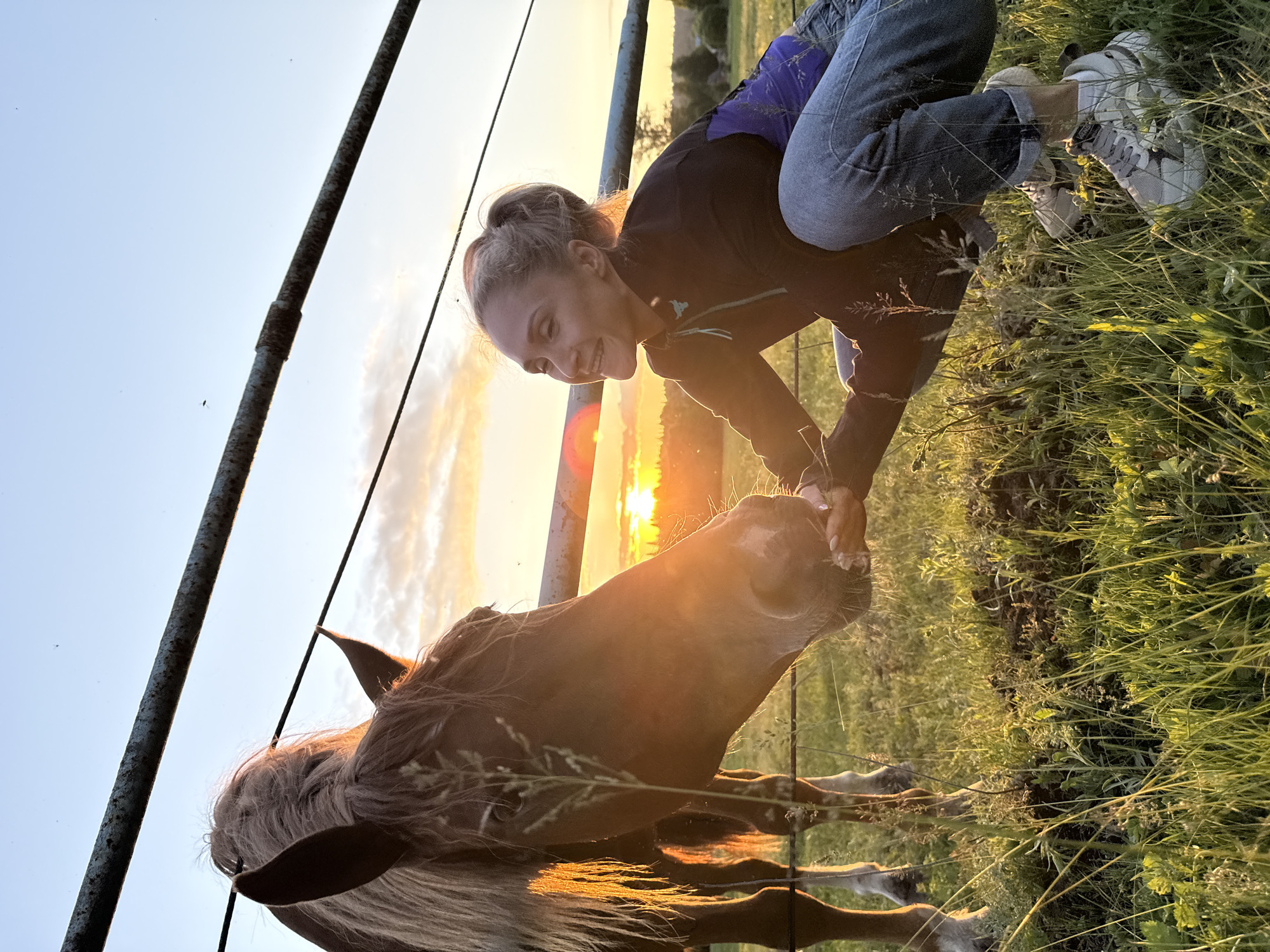A young woman in jeans and a black jacket with a purple accent kneels in a grassy field at sunset, feeding a brown horse from her hand. The horse, with its mane blowing in the wind, leans in to eat. In the background, the sun is setting over a distant treeline, casting a warm glow. A metal fence runs horizontally across the image. The scene appears to be in Opary, Russia.