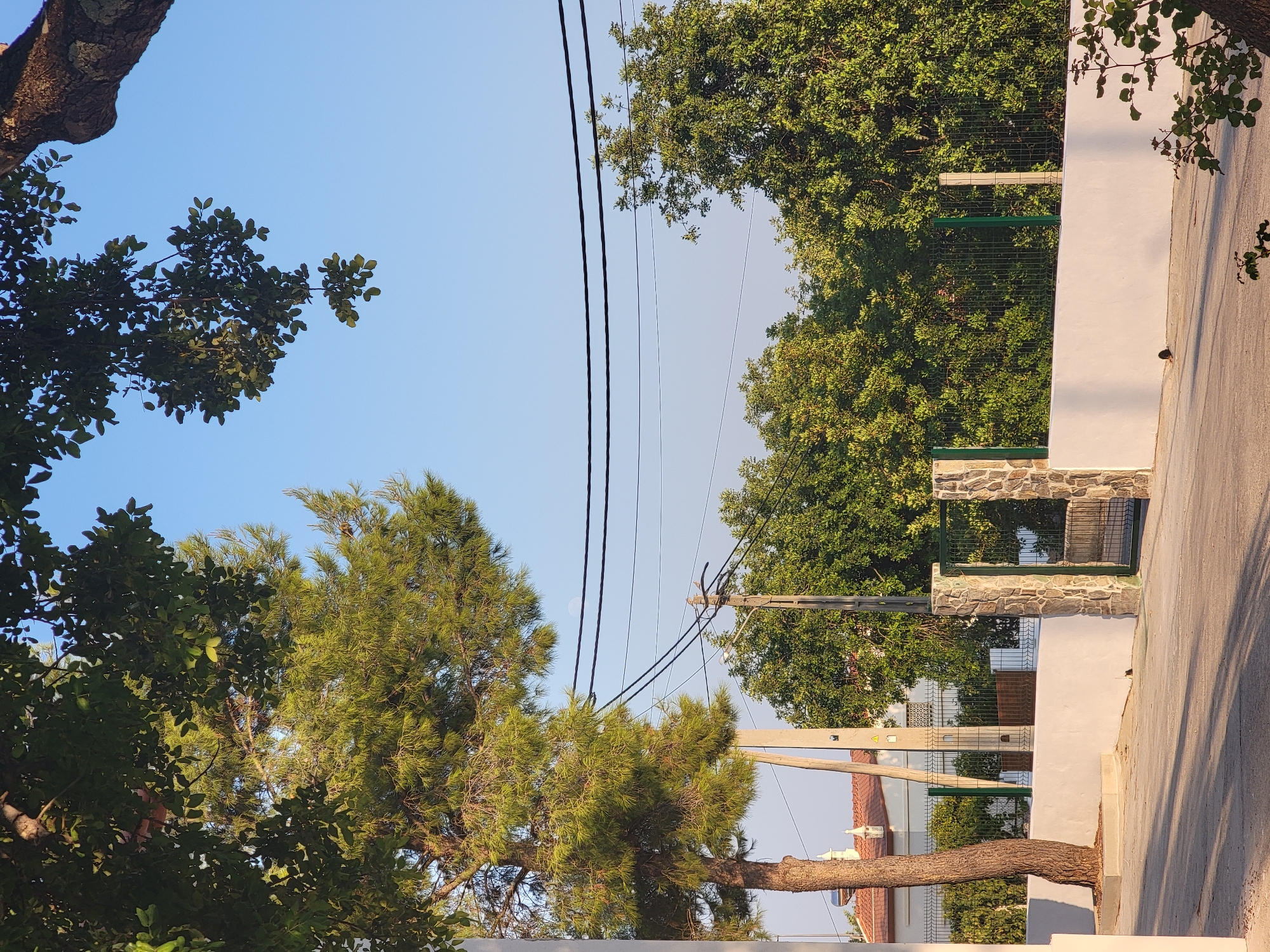The image captures a sunlit street scene in Almancil, Portugal. The foreground is dominated by a paved road with shadows cast from overhead trees and a nearby building. A white wall runs horizontally across the midground, with a green metal fence atop it. To the left, a mature pine tree with a rough trunk stands beside the wall. A gate with stone pillars is visible on the right side of the wall. Behind the wall and fence, lush green trees form a dense backdrop. In the background, a white building with a terracotta-tiled roof is partially visible, along with electrical poles and wires stretching across the sky. The sky is clear and blue, with a faint appearance of the moon. The lighting suggests it is either early morning or late afternoon.