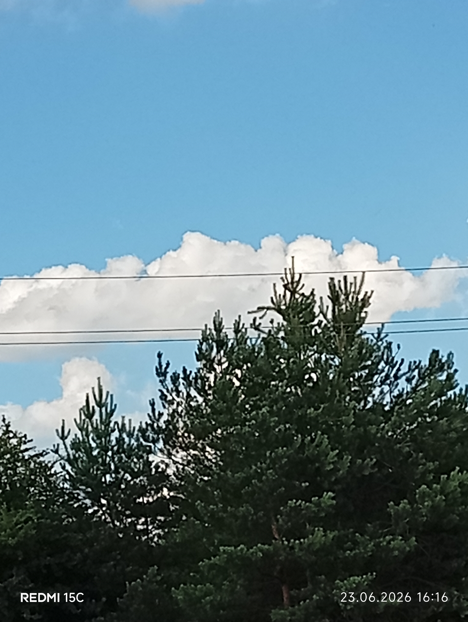 This is a medium shot of a forest canopy against a blue sky with white clouds. The trees appear to be pine trees, with their needles filling the lower half of the frame. Two power lines run horizontally across the image, above the treeline. The sky is bright blue with scattered white, puffy clouds. The lighting suggests it is daytime, likely midday or afternoon. The overall scene is natural and serene.
Text visible in the image includes:
- "REDMI 15C" in the bottom left corner.
- "23.06.2026 16:16" in the bottom right corner.