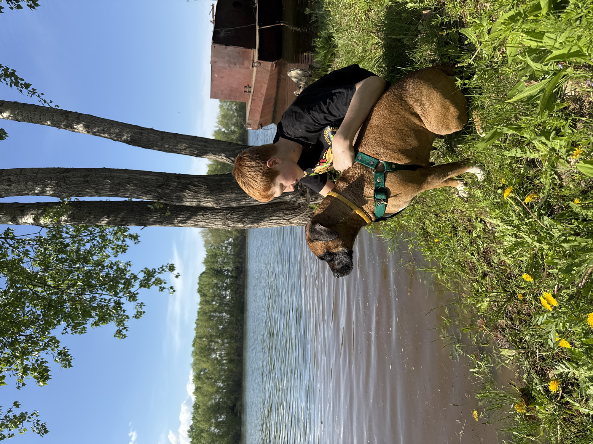 A young boy with red hair is hugging a brown dog wearing a green harness. They are near the edge of a body of water, likely a lake or river, as evidenced by the gentle ripples on the surface. A cluster of trees is visible on the left side of the frame, and there is grass and dandelions on the right. A rusted, boxy structure is in the background. Based on the presence of the rusted structure and the natural environment, this scene could be near the Votkinsk Reservoir in Chaikovsky, Russia.