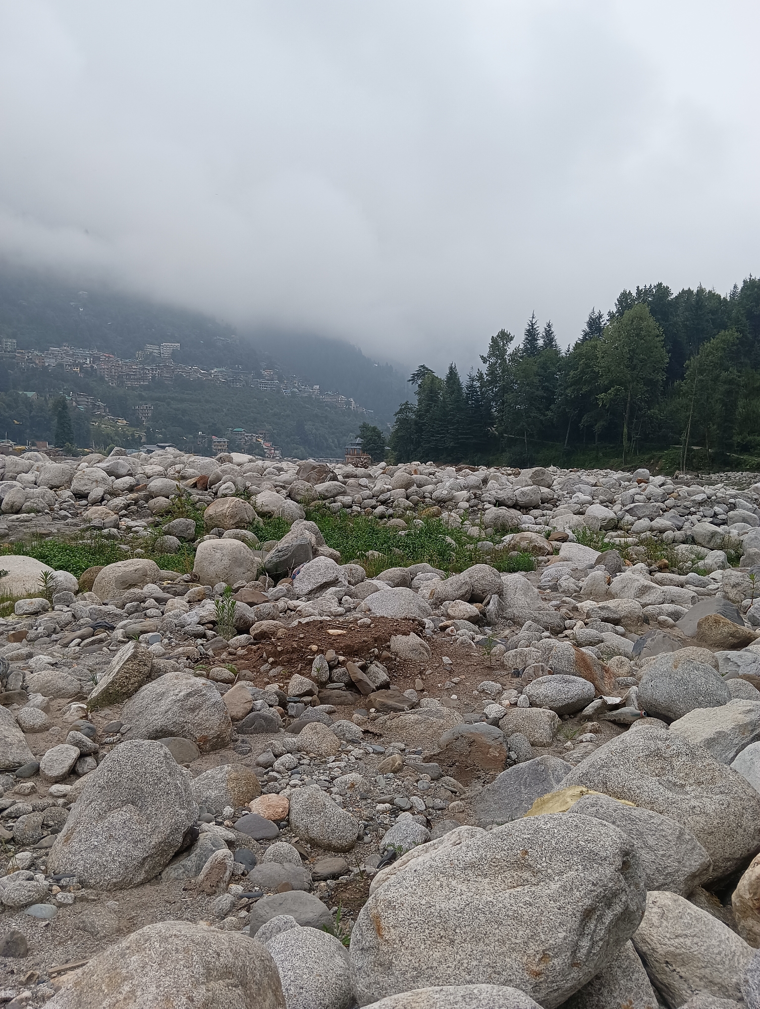 The image depicts a rocky riverbed in Goshal, India, under a cloudy sky. The foreground is dominated by numerous large, rounded grey rocks of varying sizes, interspersed with patches of green vegetation. In the mid-ground, a dense line of dark green trees forms a distinct horizon. Beyond the trees, a hillside is covered with buildings that appear to be part of a settlement, partially obscured by mist or clouds. The overall impression is of a natural landscape with human habitation present on the distant slopes.