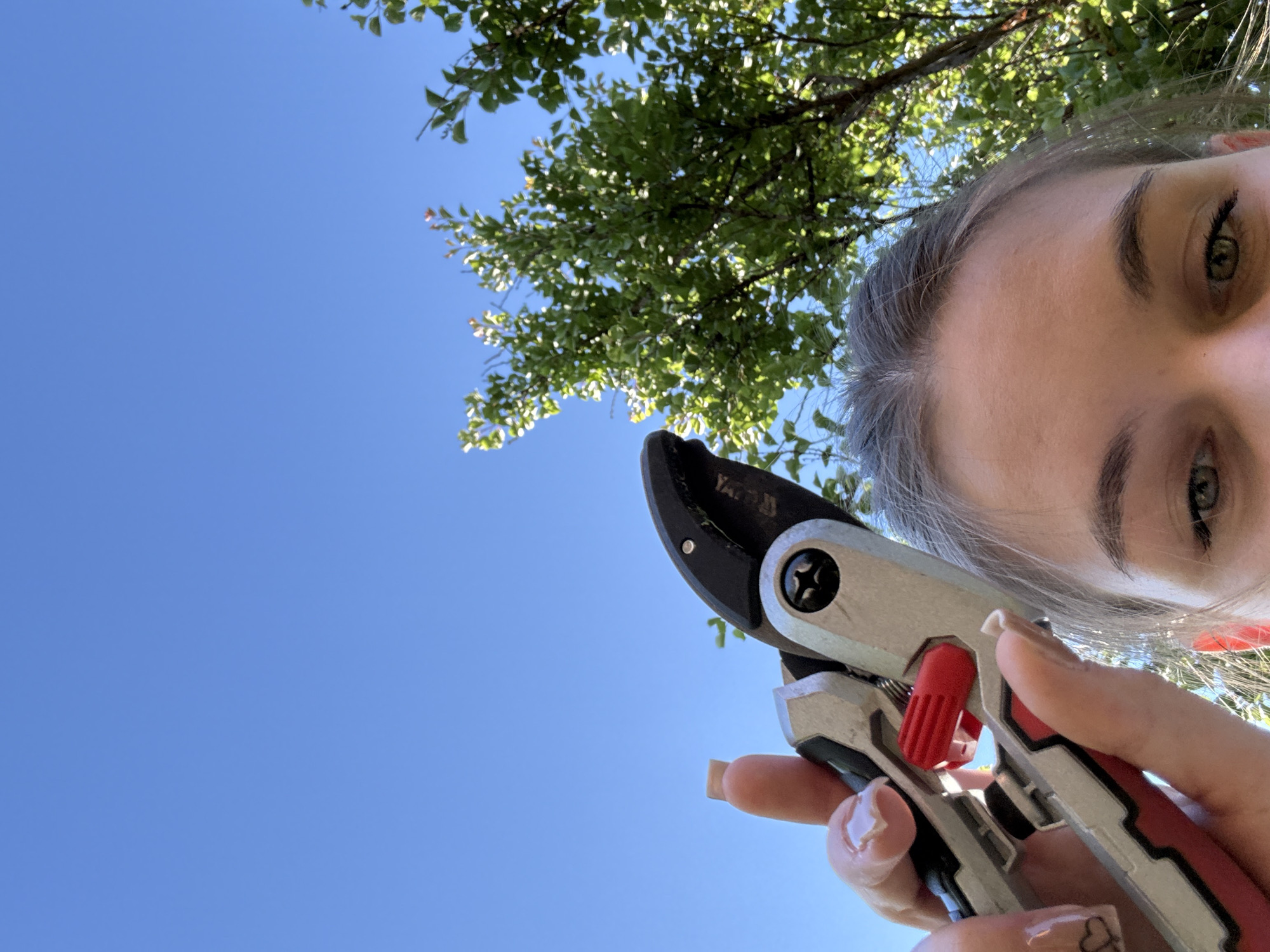 The media file shows a low-angle close-up of a person's face and hand holding pruning shears against a bright blue sky and lush green tree leaves. The person, a young woman, has her eyes looking towards the camera, with a slightly curious expression. Her hair is visible, and she is wearing minimal makeup. Her hand, with neatly manicured nails, is gripping the red and silver pruning shears, with the blades poised upwards. The shears appear to be a tool for gardening or pruning.
The scene suggests an outdoor activity, likely gardening or tending to trees. The bright blue sky indicates a clear day, possibly during daytime. The sun is casting light through the leaves, creating a dappled effect. The overall mood is serene and focused on the task at hand. The location context provided is Obukhivka, Ukraine. There is no visible text in the image.