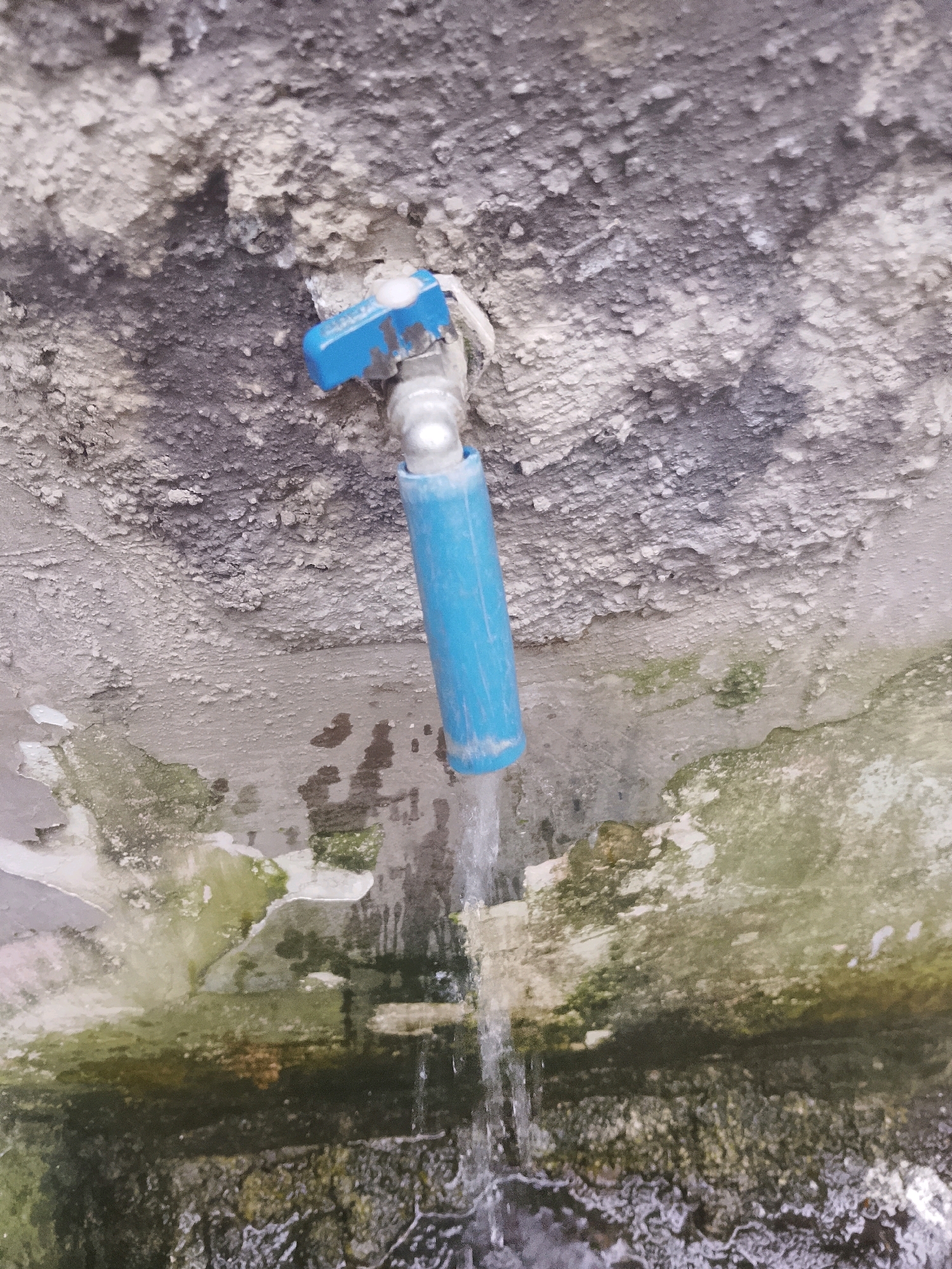 A close-up, eye-level shot shows a dripping blue plastic faucet attached to a rough, textured concrete surface. The faucet handle is blue and white. Water is actively flowing from the faucet, creating streaks down the concrete. The concrete itself appears aged and shows signs of wear, with patches of green mold or algae growth. Below the faucet, the surface becomes darker and more textured, possibly indicating a drain or a lower area where water collects. The lighting is somewhat dim, creating shadows and highlighting the rough texture of the concrete. This scene is likely in Jember, Indonesia, given the context.