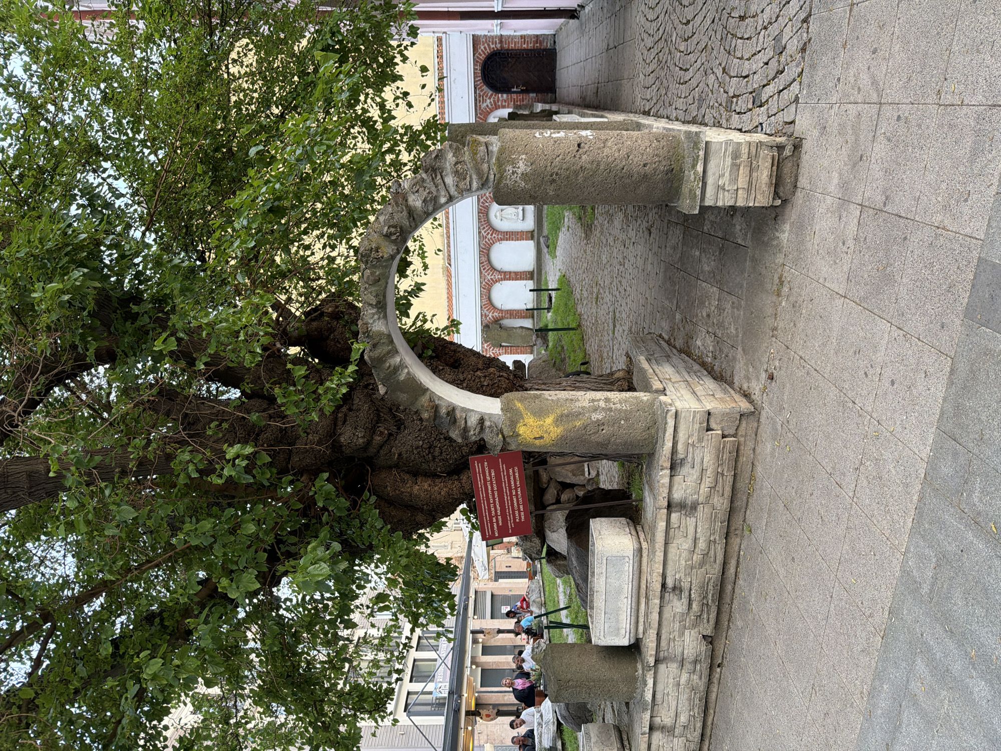 The image captures an outdoor scene featuring an old stone archway partially engulfed by a large tree with abundant green foliage. The archway consists of two cylindrical stone pillars supporting a semi-circular stone arc. A red sign with white lettering stands near one of the pillars.
Beyond the archway, a narrow passage leads to a building with a dark doorway, and architectural details such as arched windows and white facades can be seen. On the other side of the archway, a modern building with a restaurant and people seated at tables is visible. The ground is paved with a combination of grey tiles and cobblestones.
The image is taken from a slightly low angle, with the camera tilted, giving the impression of a slightly distorted perspective.
This is likely the area of the historical Mulberry Tree and Ruins of Ancient Therma in Burgas, Bulgaria.