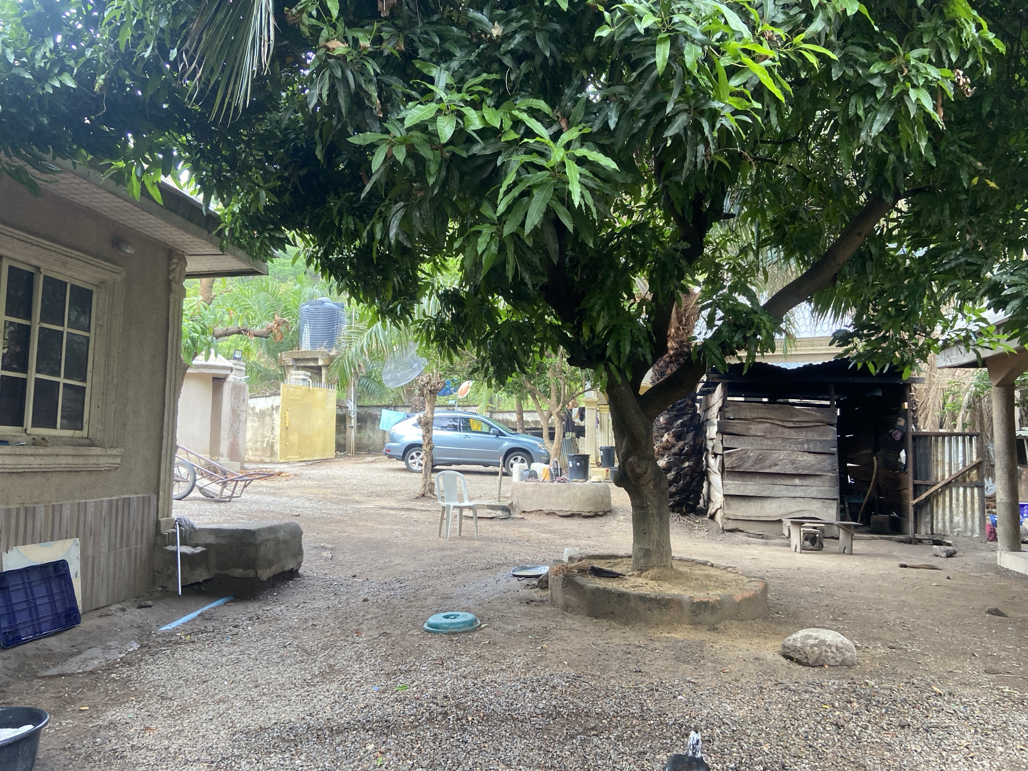 The scene is a yard in Mararaba, Nigeria. The ground is covered with gravel. A mature mango tree dominates the center of the frame. To the left is a single-story building with a window. In the background, a blue car is parked near a yellow gate. Several objects are scattered throughout the yard, including a white plastic chair, a plastic crate, a metal trash can, and various small stones. A wooden structure stands to the right of the tree. The overall impression is one of a lived-in, rural setting.
