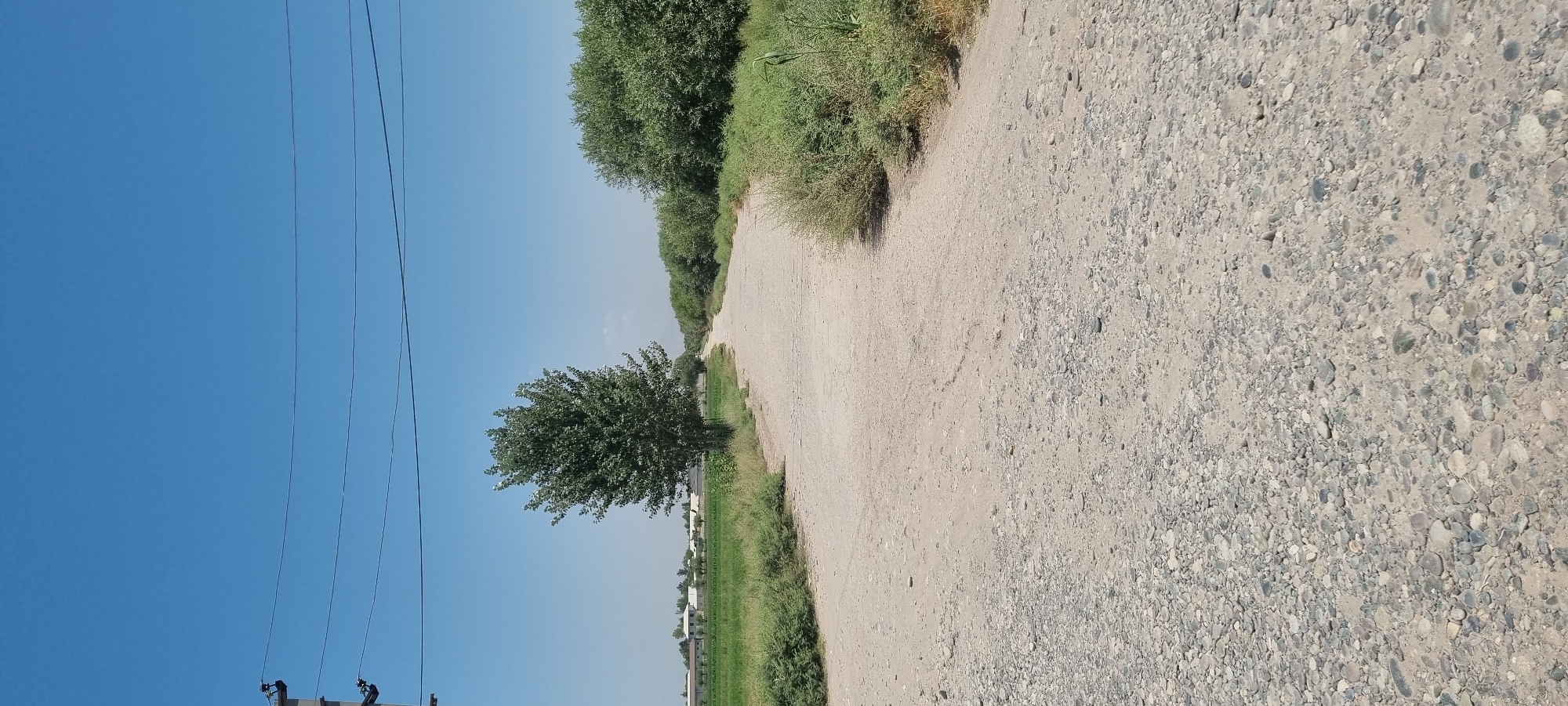A wide, unpaved dirt and gravel road curves into the distance under a clear, bright blue sky. On the left side of the road, there is a field of green grass with some buildings visible in the far distance, possibly agricultural structures or homes. A lone, mature deciduous tree with dense green foliage stands prominently near the edge of the road, closer to the viewer. On the right side of the road, there are dense bushes and trees. Overhead, power lines are strung between poles, the pole on the left being partially visible. The overall scene depicts a rural or semi-rural landscape in Хаваскор, Tajikistan, on a sunny day.