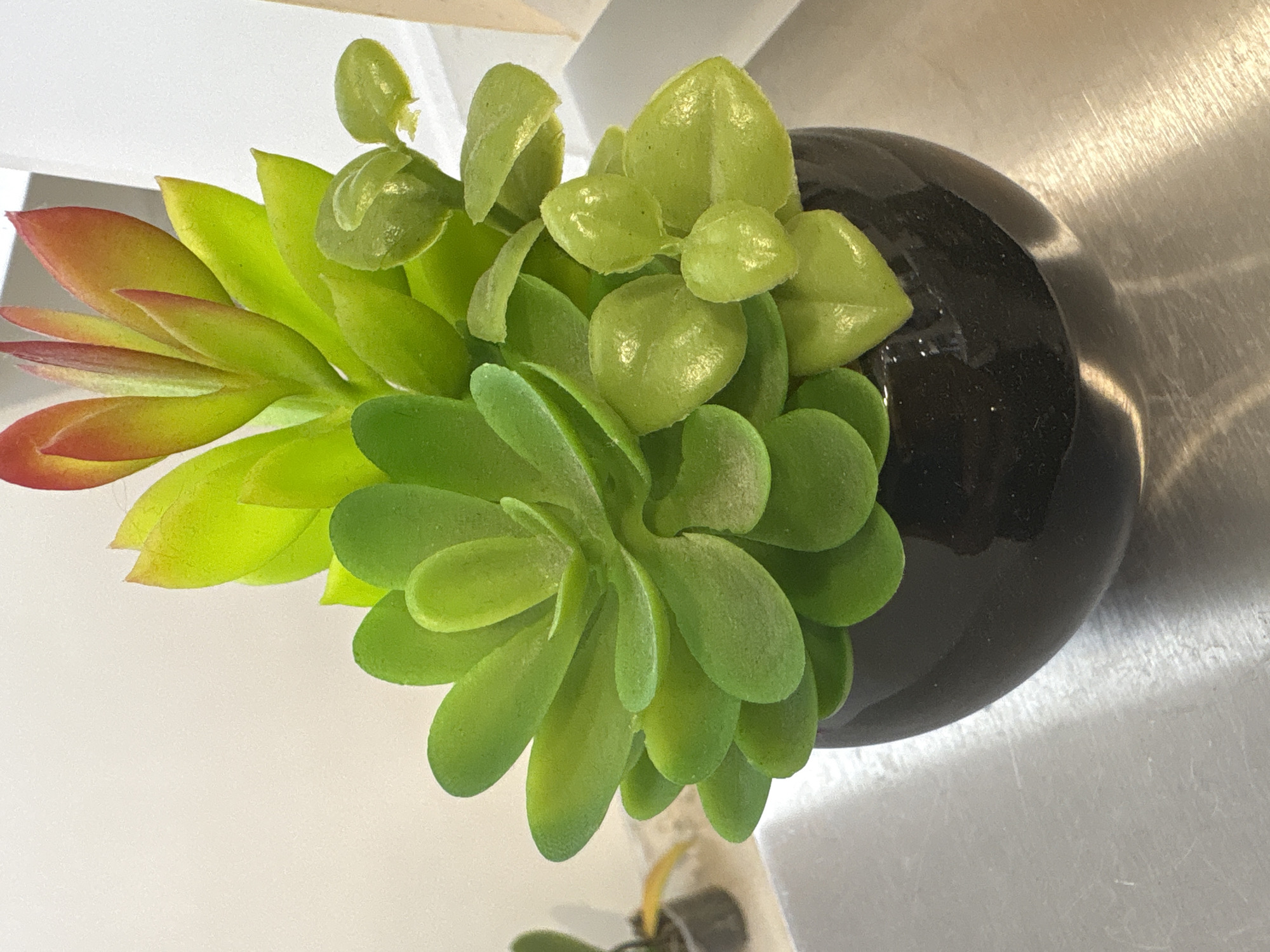 The image shows a close-up view of a black, round pot containing a faux succulent plant. The plant has thick, fleshy green leaves, some with reddish tips. The pot is placed on a metallic surface that appears to be a countertop or table. In the background, a plain, light-colored wall is visible. The lighting suggests an indoor setting. There is no indication of the location being in Rome, Italy.