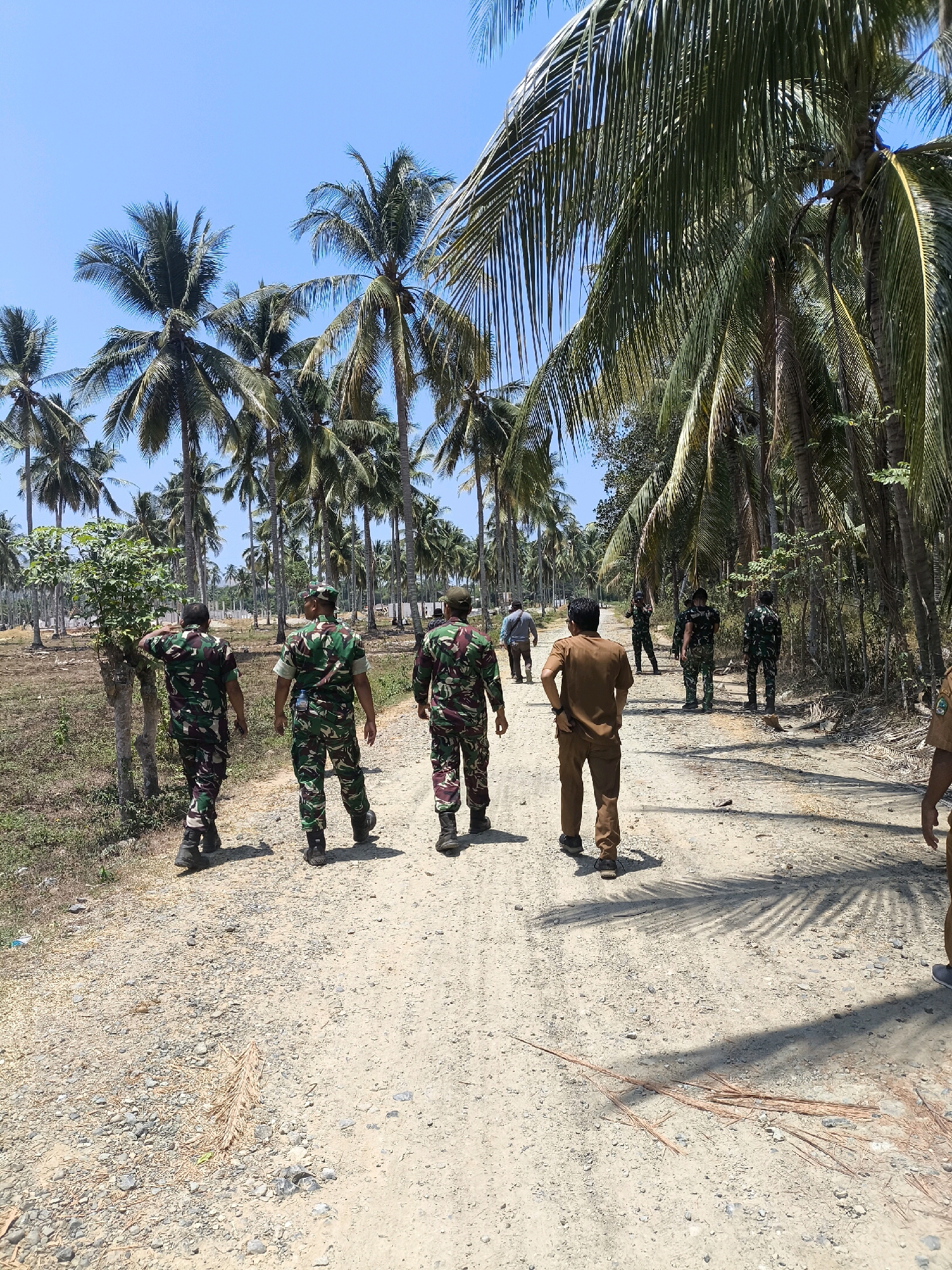 In Modelomo, Indonesia, a group of individuals, including several in military camouflage uniforms and one in a tan collared shirt and pants, are walking along a dirt road. The road is flanked by numerous tall coconut palm trees, with their fronds casting shadows on the ground. The background reveals more palm trees and some sparse vegetation. The sky is clear and blue, indicating a sunny day. The scene appears to be a rural or semi-rural area.