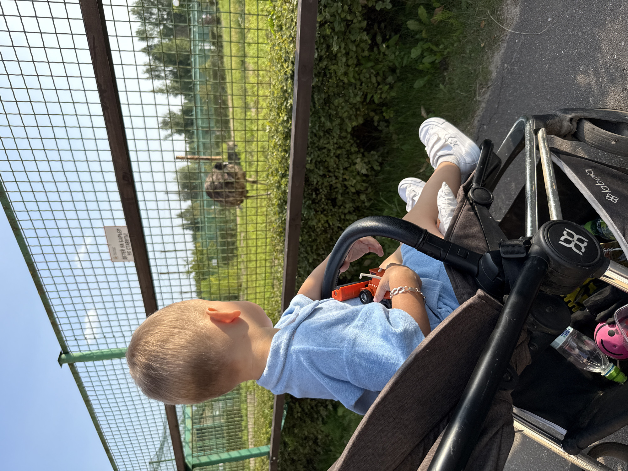 A young child, viewed from behind, sits in a stroller, facing a fenced enclosure at a zoo in Ignatovo, Russia. The child, with blond hair, wears a light blue terrycloth outfit and white sneakers. In their hands, they hold an orange toy tractor. An ostrich is visible within the enclosure, standing on a grassy area with trees in the background. A sign is attached to the fence, reading "ДЕТИ НА БАРЬЕР НЕ СТАВИТЬ!" (Children should not stand on the barrier!). The stroller is dark gray with a black handle and features various items in its basket, including a water bottle, a pink smiley-face toy, and other miscellaneous objects. The scene is illuminated by sunlight.