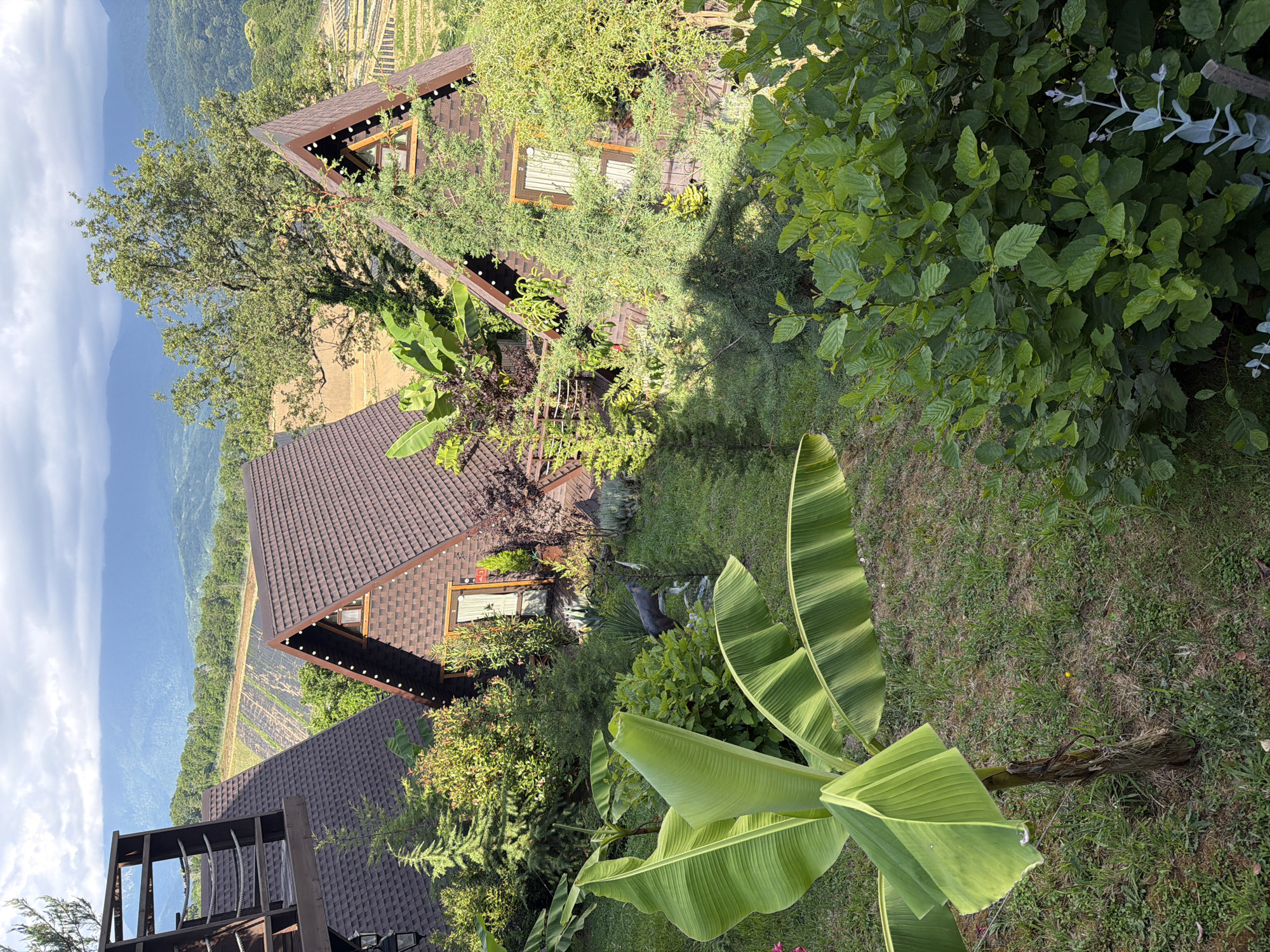 The image depicts a resort in Nizhnyaya Shilovka, Russia, with three triangular, A-frame cabins nestled among lush greenery and rolling hills. The cabins have brown, shingled roofs and wooden exteriors, with some adorned with string lights. A balcony with rope railings is visible on the leftmost cabin. In the foreground, large banana leaves dominate, with a small banana tree trunk to the left. A dark, grey statue of a deer stands in the yard between the cabins. The background reveals terraced fields or vineyards and hazy, blue mountains under a cloudy sky. The overall scene conveys a tranquil, natural setting ideal for a retreat.