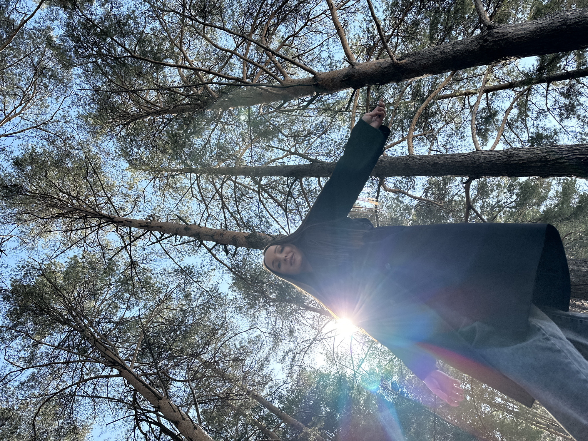 A low-angle shot depicts a person standing in a pine forest. The person, likely female, is wearing a dark-colored coat and light-colored jeans. The person is holding onto a tree branch above. Sunlight filters through the trees, creating lens flares. The sky is visible through the branches, and appears to be a clear, light blue. The location is likely in Chaikovsky, Russia, as specified.