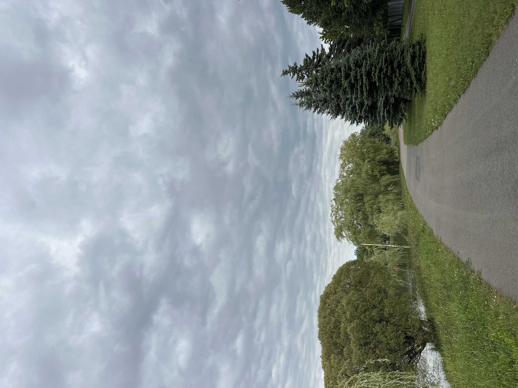 A paved pathway curves through a park on a cloudy day. To the left of the path, a body of water is visible, bordered by lush green grass and trees, including a large, round leafy tree and weeping willow trees. To the right of the path, there are several tall evergreen trees and a grassy area. In the distance, a fence and another pathway can be seen. The sky is filled with overcast, gray clouds. The scene appears to be located in Minsk, Belarus.