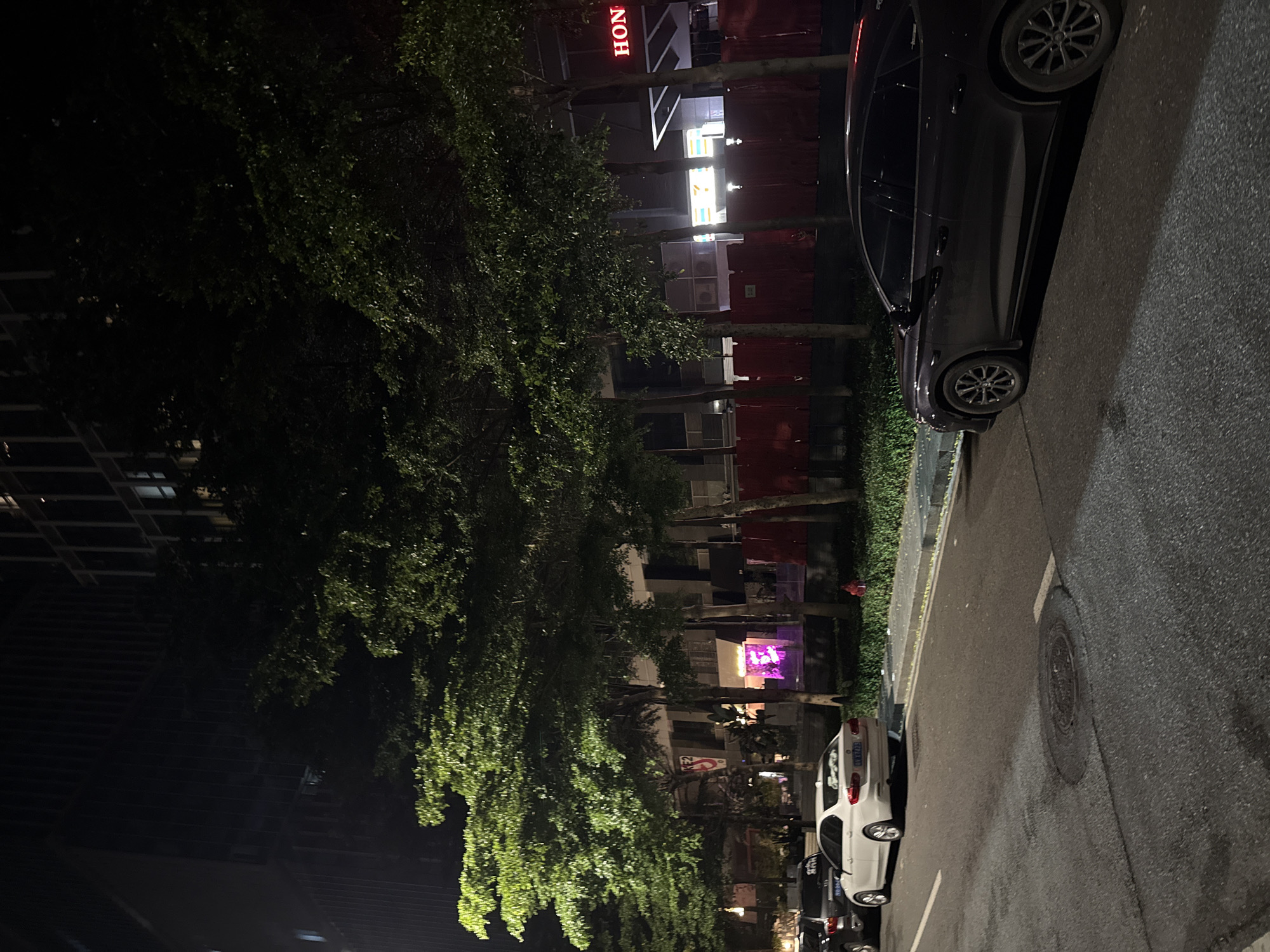 This is a nighttime, low-angle, street-level photograph taken in Haizhu District, China. The scene depicts a row of parked cars along a wet asphalt road. A large, dark-colored car is prominently featured in the foreground, with its rear wheel visible on the right side of the frame. Further down the street, a white car with a visible license plate is parked.
The background is dominated by a dense canopy of green trees, illuminated by ambient light, casting shadows. Beyond the trees, a building is visible, with some floors appearing dark and others lit from within. One section of the building has a red construction barrier or temporary wall in front of it, with an illuminated sign that reads "HON" in red letters on a white background. Another section of the building features bright, colorful lights, possibly from a shop or entertainment venue.
The overall mood is quiet and urban, suggesting a typical evening in a city. The wetness of the road indicates recent rain or damp conditions. The presence of multiple cars and the building suggest a populated area, likely a commercial or residential street. No people are visible in the image.