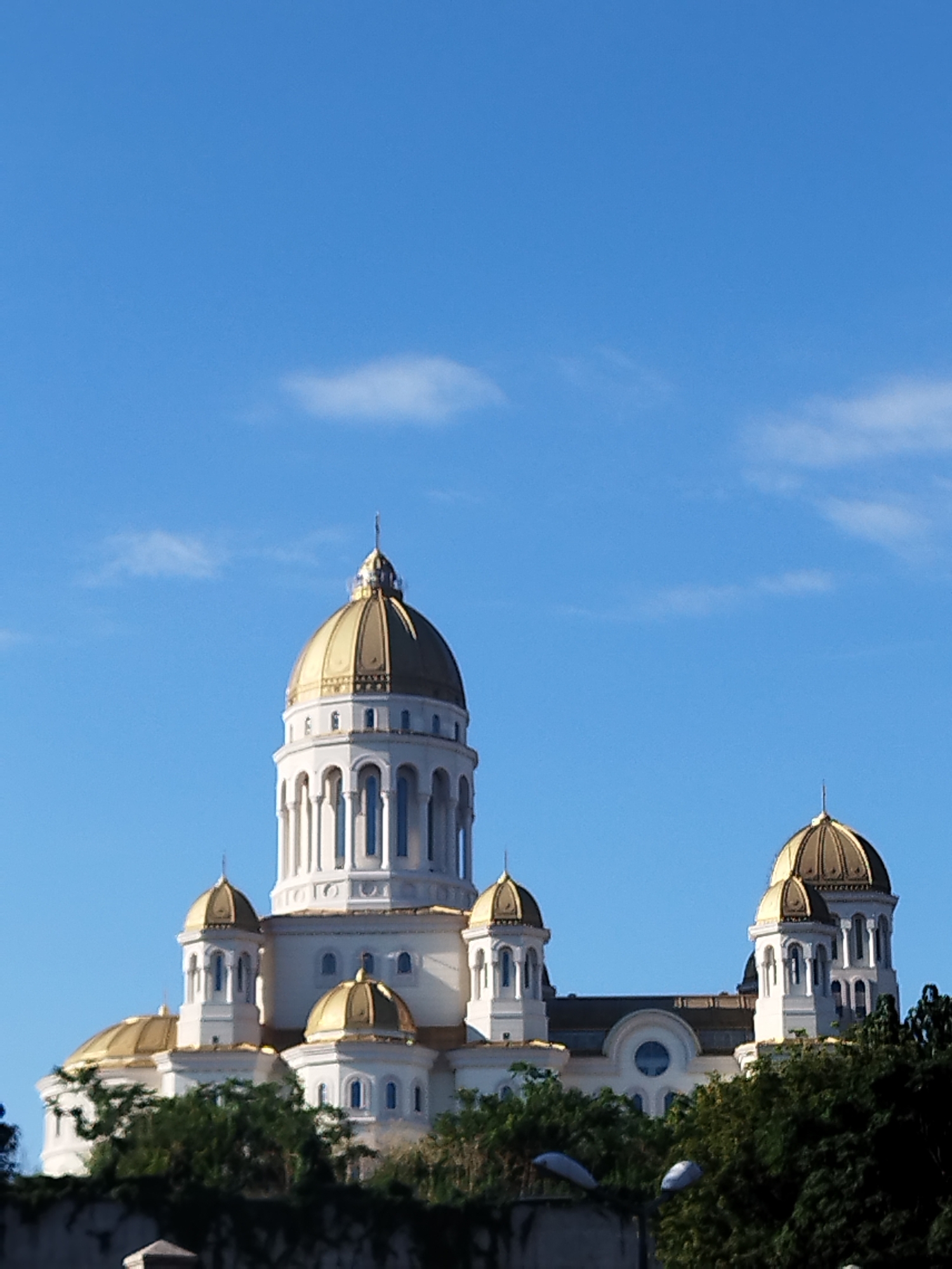 This image captures the exterior of the Saint George's Cathedral, also known as the Old Metropolitan Cathedral, located in Bucharest, Romania. The cathedral features a prominent central dome and multiple smaller domes, all gilded in gold. The architectural style is characterized by white stone facades with arched windows and decorative columns. Green trees are visible in the foreground, partially obscuring the lower section of the building. The sky above is a clear blue with a few wispy clouds. The image is taken from a ground-level perspective, looking upwards at the cathedral.