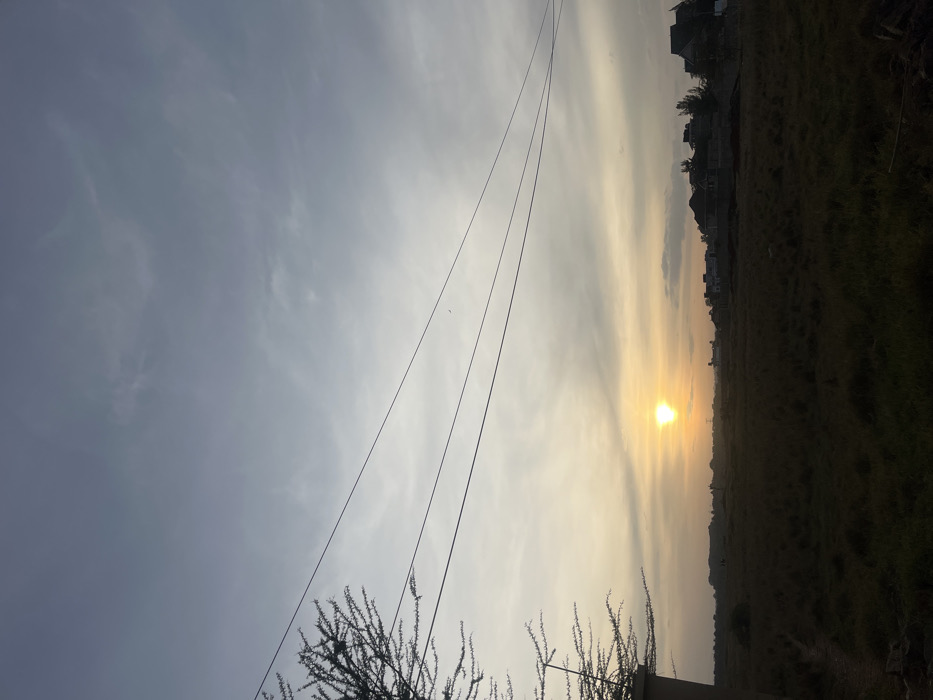 The image displays an expansive outdoor landscape at either sunrise or sunset, situated within Gitothua ward, Kenya. The sky transitions from a light blue-grey at the upper portion to a warm yellow-orange gradient near the horizon. A distinct, bright yellow-orange sun is prominently visible low on the horizon, positioned slightly left of the image's center. Scattered clouds are present across the sky.
In the foreground on the far left, a section of a thorny tree with sparse branches and foliage is visible, partially obscuring a dark, indeterminate structure below it. A faint dirt path is discernible in the lower-left corner. The midground is dominated by a vast, open field of undeveloped land, covered with dry, brownish-green grass.
Three parallel utility lines traverse the upper-mid section of the frame, extending horizontally from left to right, appearing to originate from near the thorny tree. A small, dark, airborne object, potentially a bird, is faintly visible in the sky above these lines.
In the background, a cluster of residential-style buildings with dark roofs is visible on the right, interspersed with several trees. These structures appear to be either newly constructed or under various stages of construction. A faint silhouette of a distant utility pole or structure is observed near the horizon, towards the left of the background. No human figures or active interactions are observed within the scene.