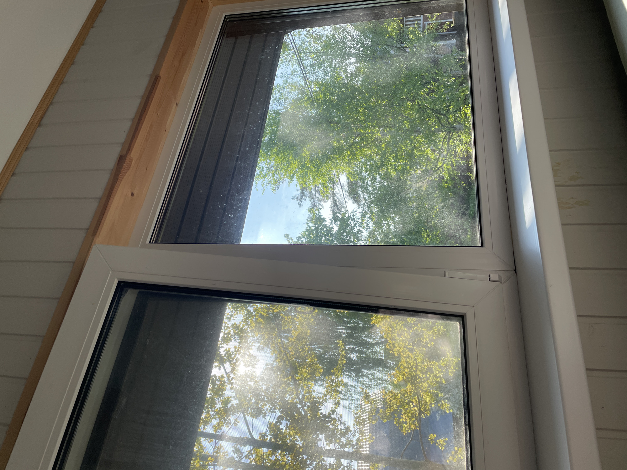 The image depicts a double-paned window in a room with white, horizontally-paneled walls and a wooden frame on the left side. The window offers a view of trees with green leaves and a patch of blue sky. In the lower pane, the sun is visible, causing a glare. The window appears dirty with dust and streaks. The location is identified as Sestroretsk, Russia, based on provided context. No people are visible. The scene suggests an interior setting with an outside view.