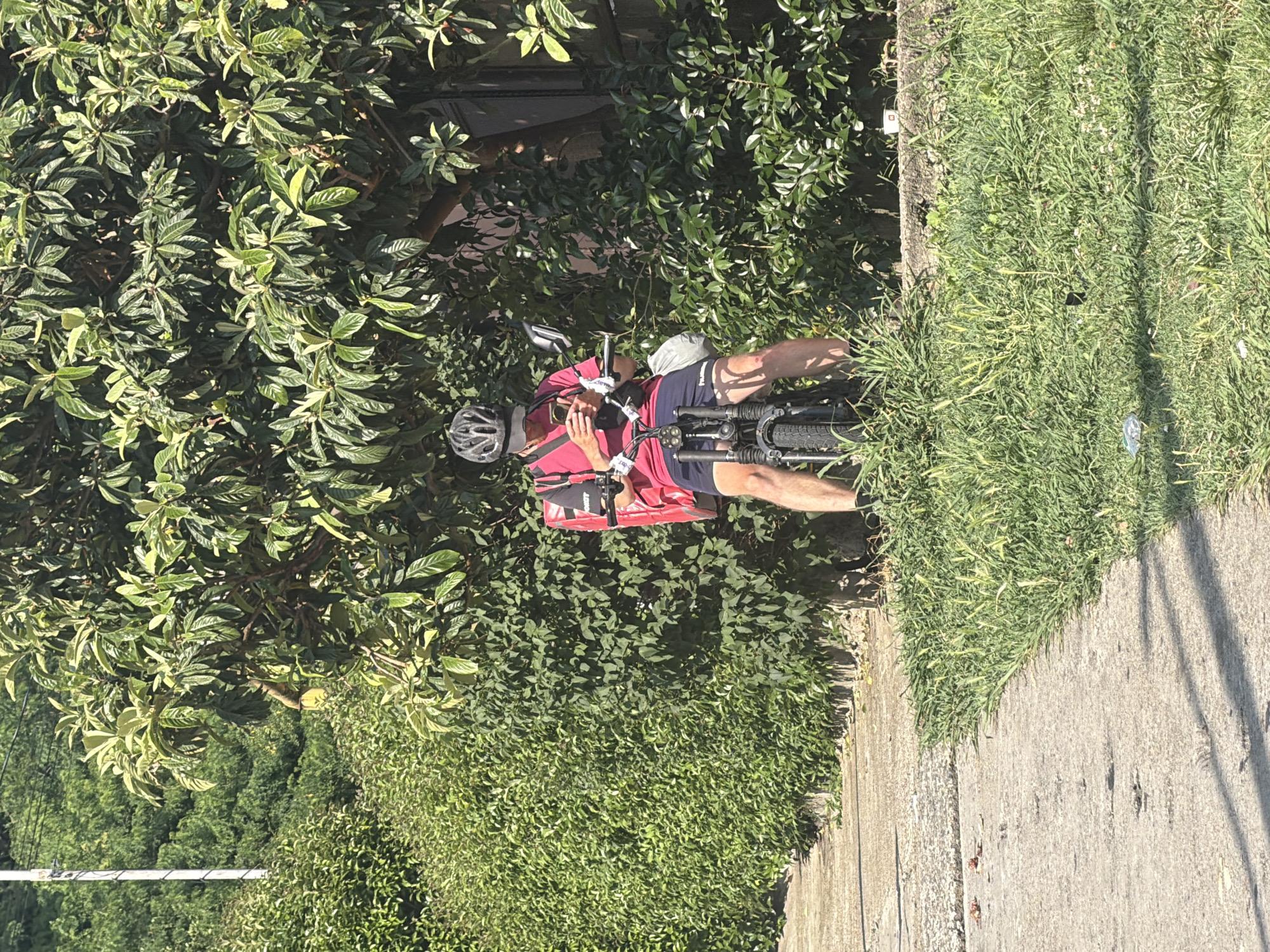 A person is sitting on a bicycle, appearing to be taking a break. The person is wearing a helmet and a red shirt, with navy blue shorts. They are holding something to their face, possibly a phone, and appear to be looking at it. The bicycle has a red bag or basket attached to the back. The scene is outdoors, with lush green foliage and grass. A concrete path runs alongside the grass. The lighting suggests it is daytime, with sunlight casting shadows. The setting appears to be a park or a quiet area with trees and well-maintained grass, consistent with a location in Sochi, Russia. There is no visible text in the image. The overall mood seems relaxed and casual, as the person is taking a moment to rest during a bike ride.