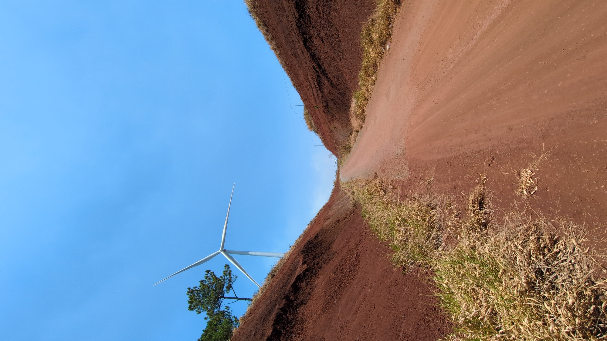 A slightly tilted, wide-angle, eye-level shot shows a dirt road with red clay on the sides, a clear blue sky, and a wind turbine, in what appears to be Phát Chi, Vietnam.
The road, made of compacted red earth, runs diagonally across the frame. Wheel tracks are visible on its surface. High banks of the same red clay flank the road, with sparse vegetation and dry grass growing along the edges.
To the left, set against the blue sky, is a wind turbine. It has three white blades. A group of evergreen trees are at its base.
The sky is clear and uniform in color. No clouds are visible.