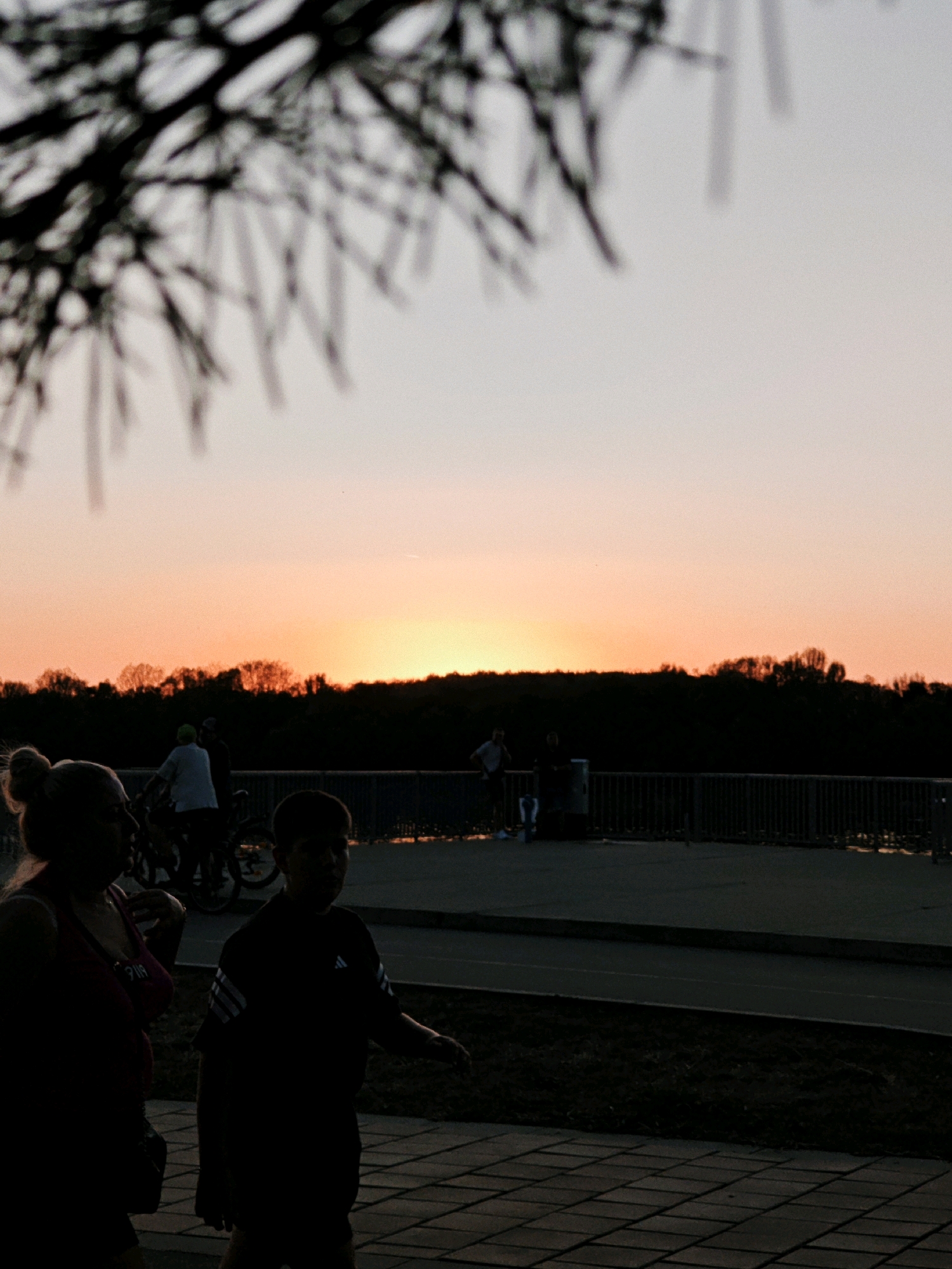 A silhouette of tree branches hangs in the upper left of the frame, casting a shadow against a soft gradient sky that transitions from pale grey at the top to a vibrant orange near the horizon. Below, a dark band of trees forms the distant background. In the middle ground, a railing borders a body of water, with a pathway and figures visible along it. In the foreground, two individuals are walking on a paved walkway. To the left, a woman in a dark top with a textured pattern is seen from the shoulders up, her hair in a bun. To the right, a young person in a dark t-shirt with white stripes on the sleeves walks forward, facing slightly to the right. The overall lighting suggests dusk or dawn.