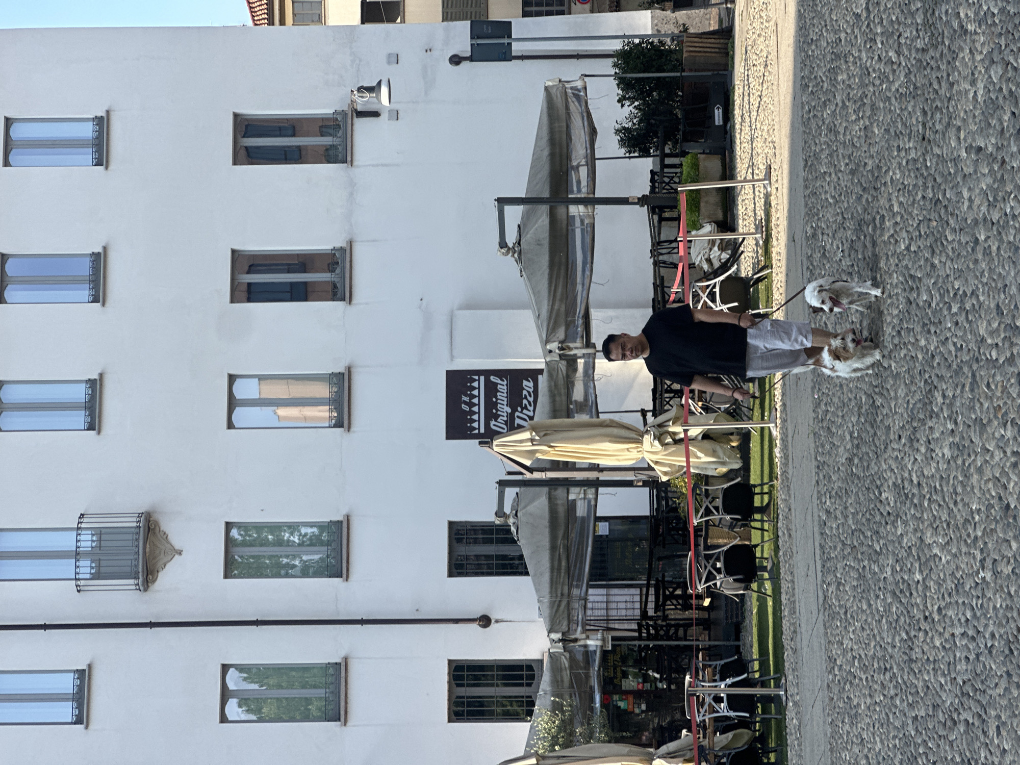 A man wearing a black t-shirt and light-colored shorts is walking two small dogs on leashes across a cobblestone street in front of a white building. The building has several large windows and a balcony. In the background, there are outdoor seating areas with tables and chairs, covered by awnings. A sign that reads "OK Original Pizza" is visible on the building. The scene appears to be in an urban environment, possibly a piazza or a street lined with cafes and shops. The lighting suggests it is daytime, with sunlight casting shadows.