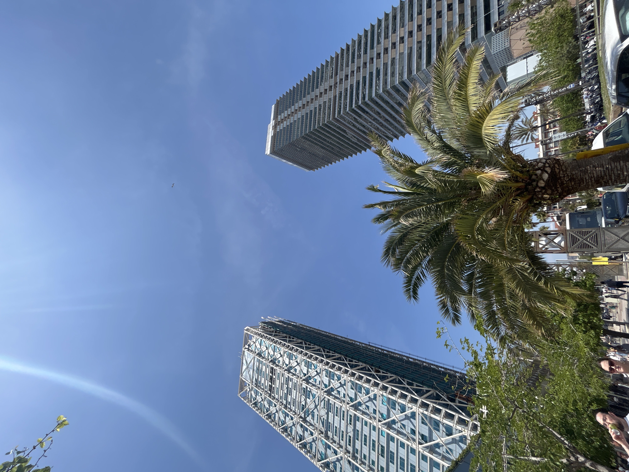 The image captures a low-angle view in Barcelona, Spain, featuring two prominent skyscrapers against a clear blue sky. The Hotel Arts, characterized by its exposed white steel framework, is positioned at the bottom left, while the Mapfre Tower, a taller building with horizontal lines, stands at the top. A palm tree dominates the right side of the frame, its fronds partially obscuring the Mapfre Tower. The foreground shows elements of street life, with the tops of trees and glimpses of people and vehicles along the right edge, suggesting a street-level perspective. A small bird is visible in the sky.