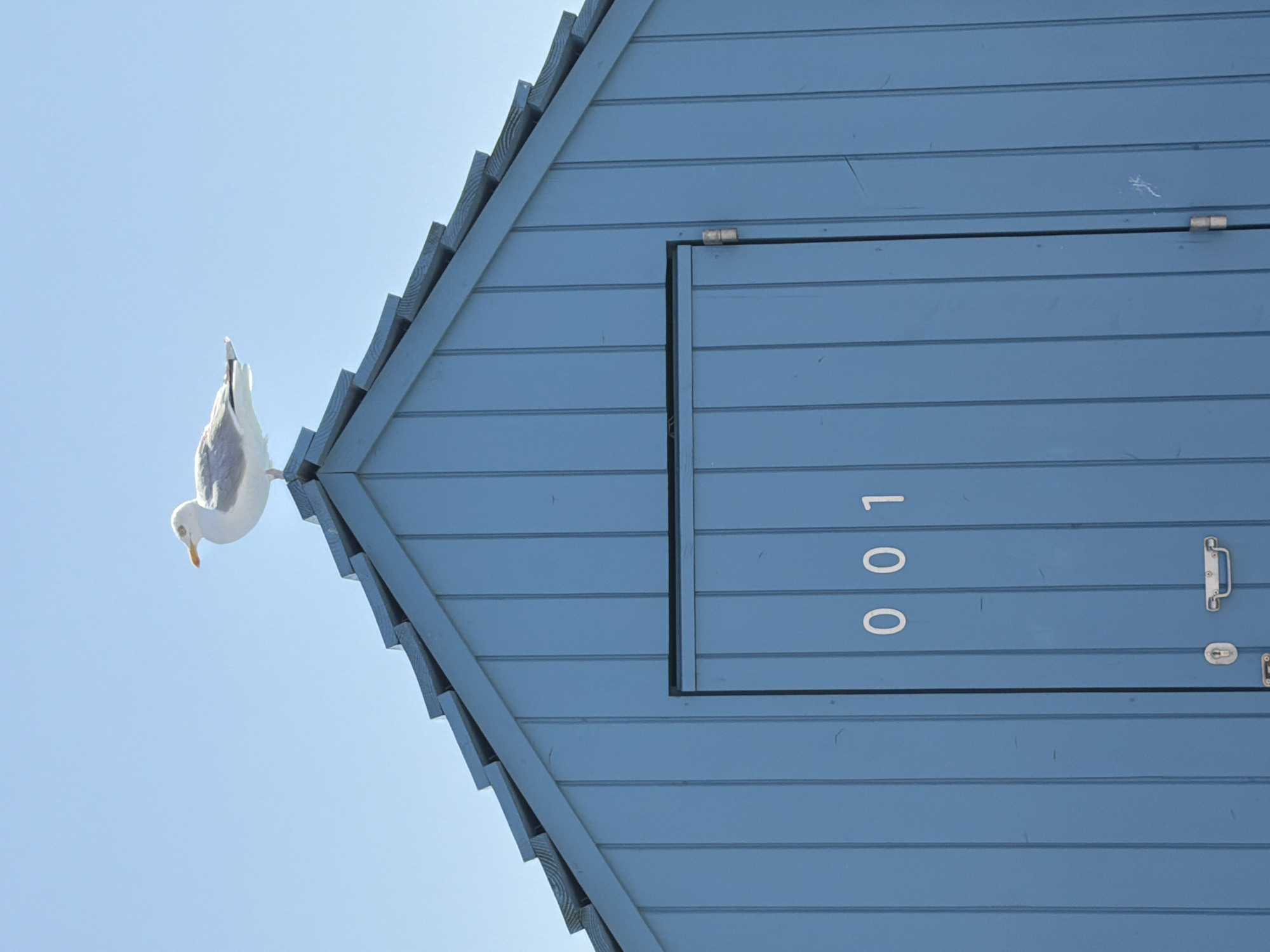 A seagull stands perched atop the peak of a blue, wooden beach hut. The hut has a simple, gabled roof with visible shingles. A double door is centrally located on the front of the hut, marked with the numbers "001" in white lettering above a silver handle and lock. The background consists of a clear, bright blue sky. This scene is consistent with a beach environment, possibly in a coastal town like Dieppe, France, known for its beaches and traditional beach huts.