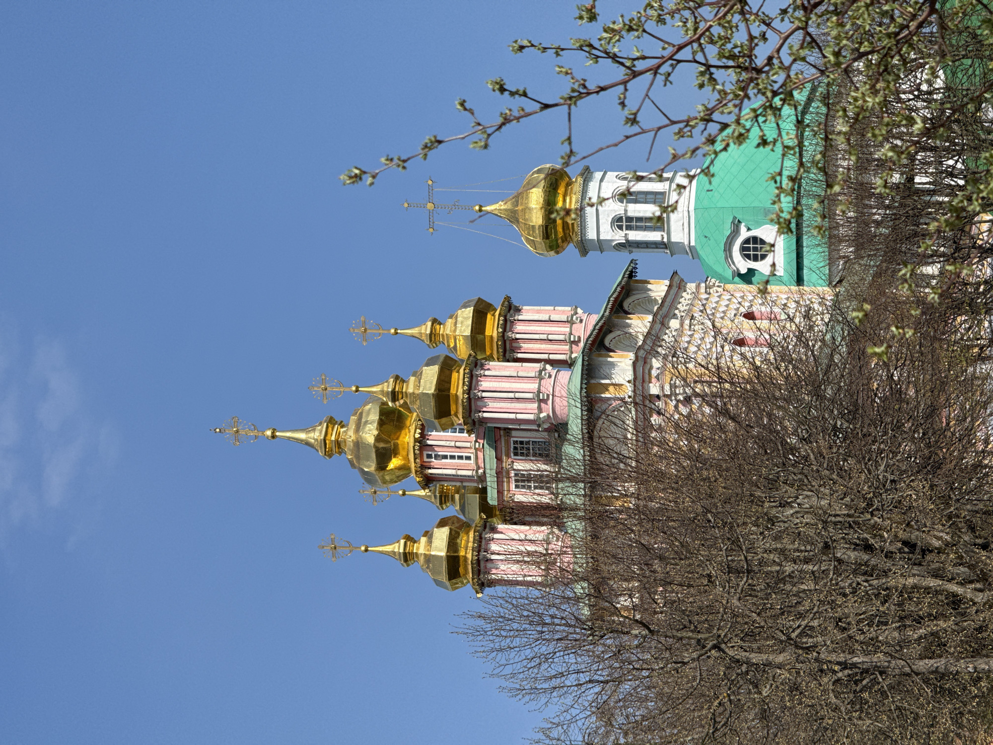 Captured from a lower angle, the image showcases a Russian Orthodox church against a clear blue sky, partially framed by branches and foliage in the foreground. The church exhibits distinctive architectural elements, including golden domes capped with crosses. It has a multi-tiered design with pink, white, and green sections visible. The lower portions of the church are somewhat obscured by trees with budding leaves, adding depth and texture to the scene. The bright sky serves as a backdrop, accentuating the colors and forms of the church.
